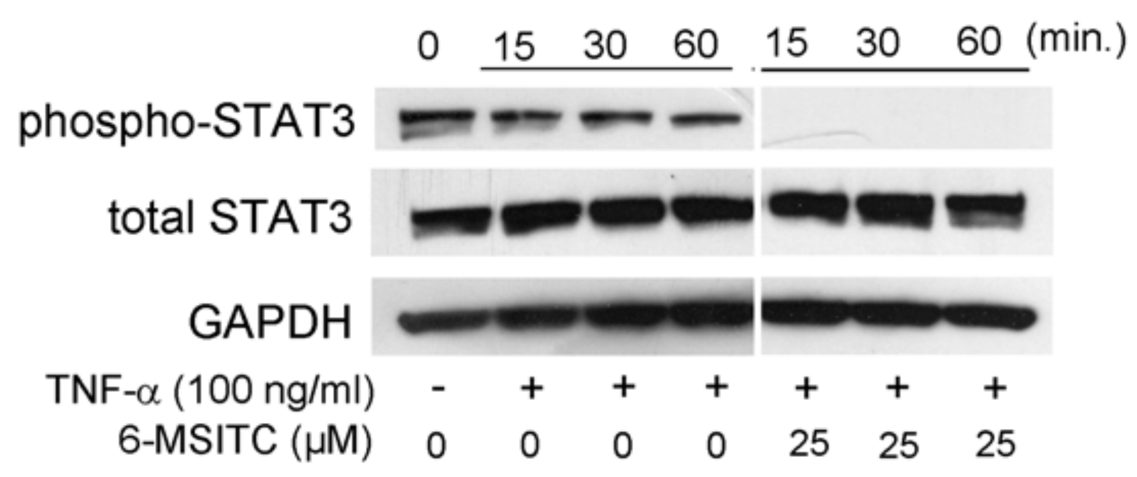 Cimb 44 00201 g003 550