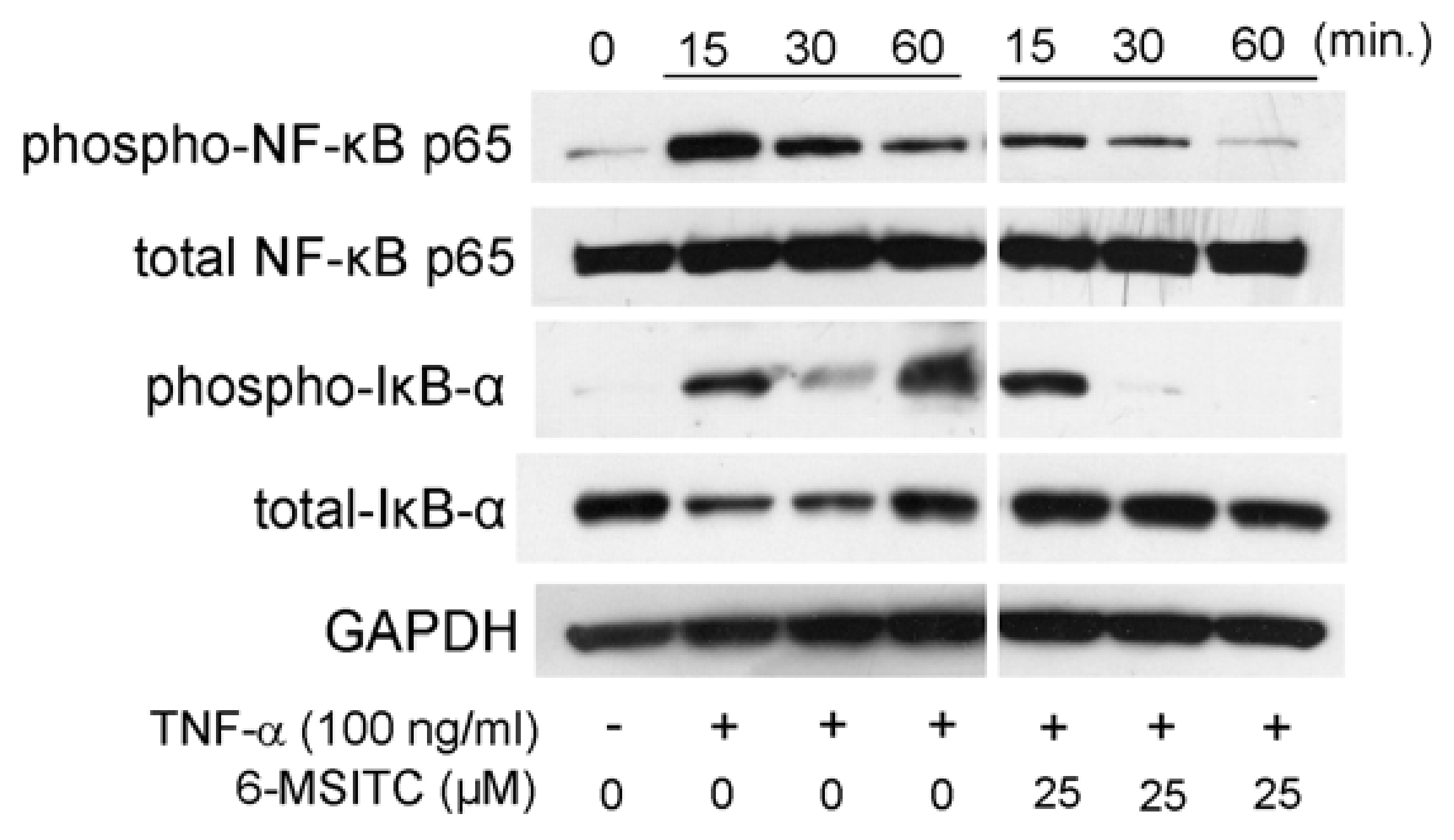 Cimb 44 00201 g004 550