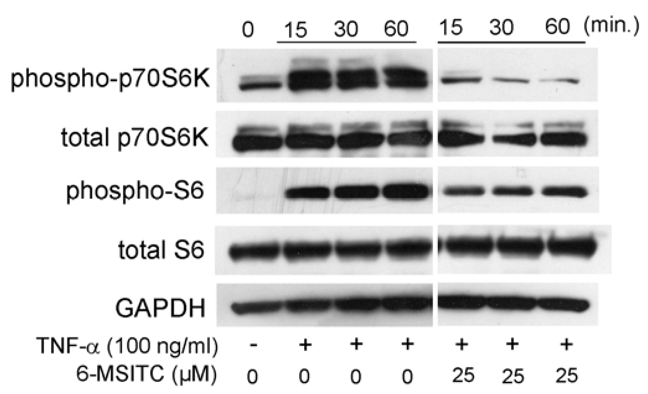 Cimb 44 00201 g005 550