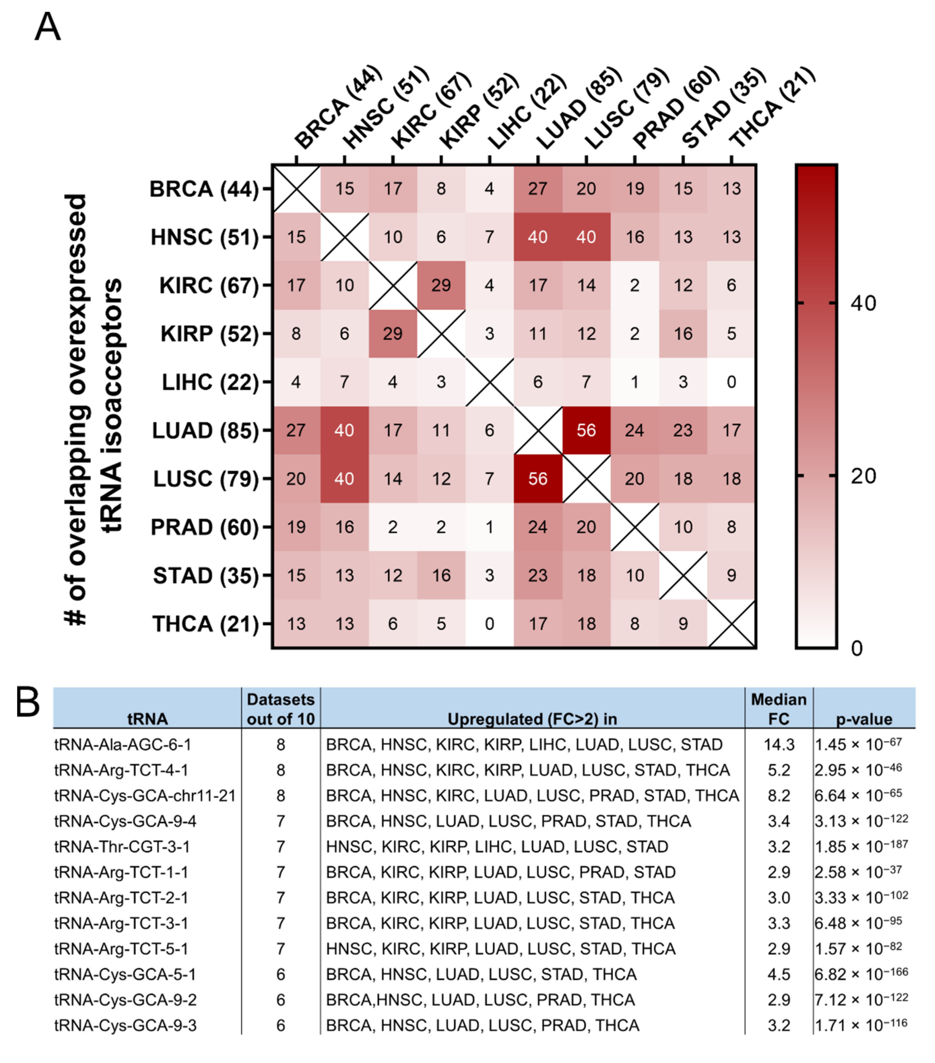 Cimb 44 00207 g007a 550