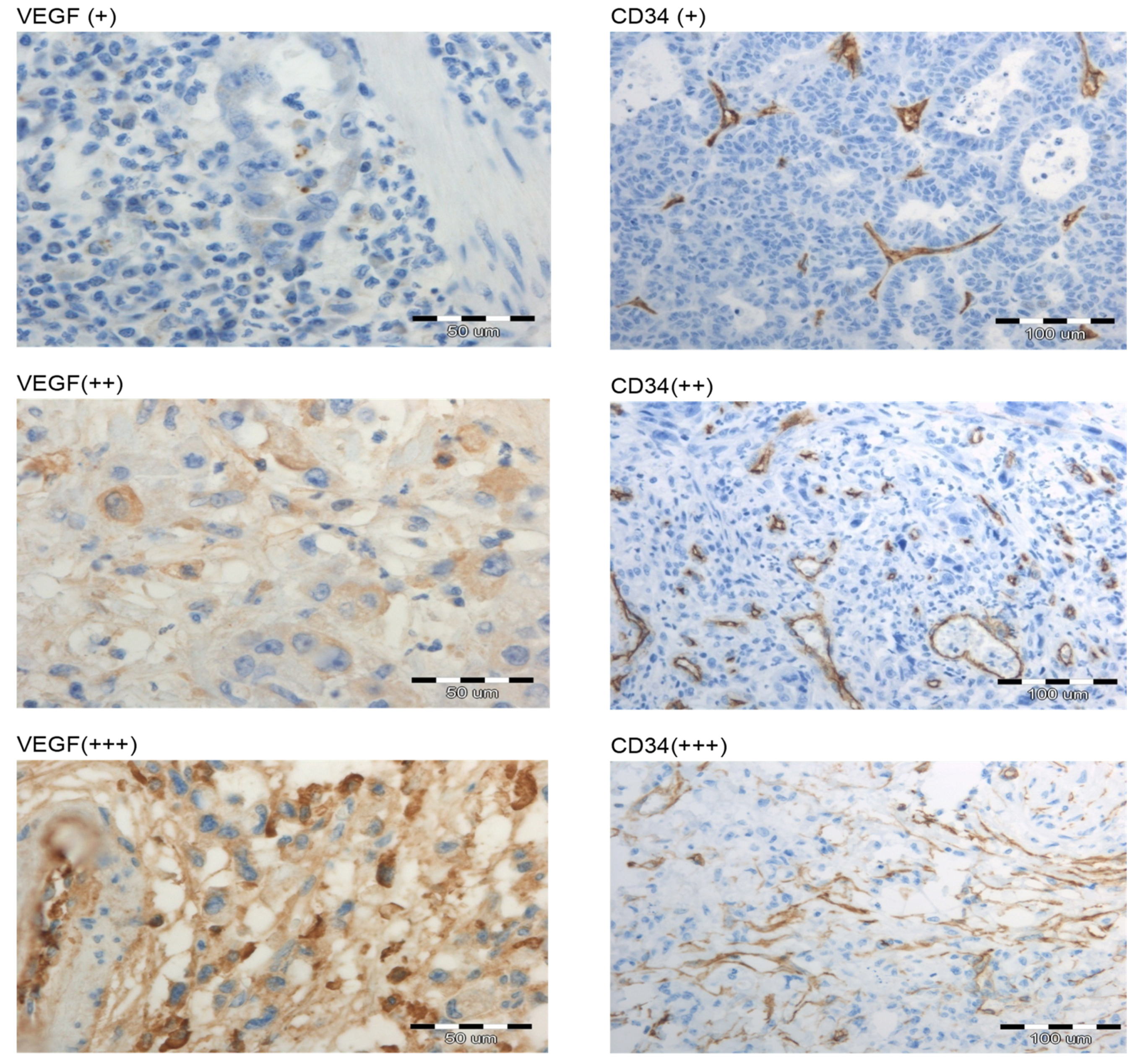 Cimb 44 00212 g003 Cimb 44 00212 g003