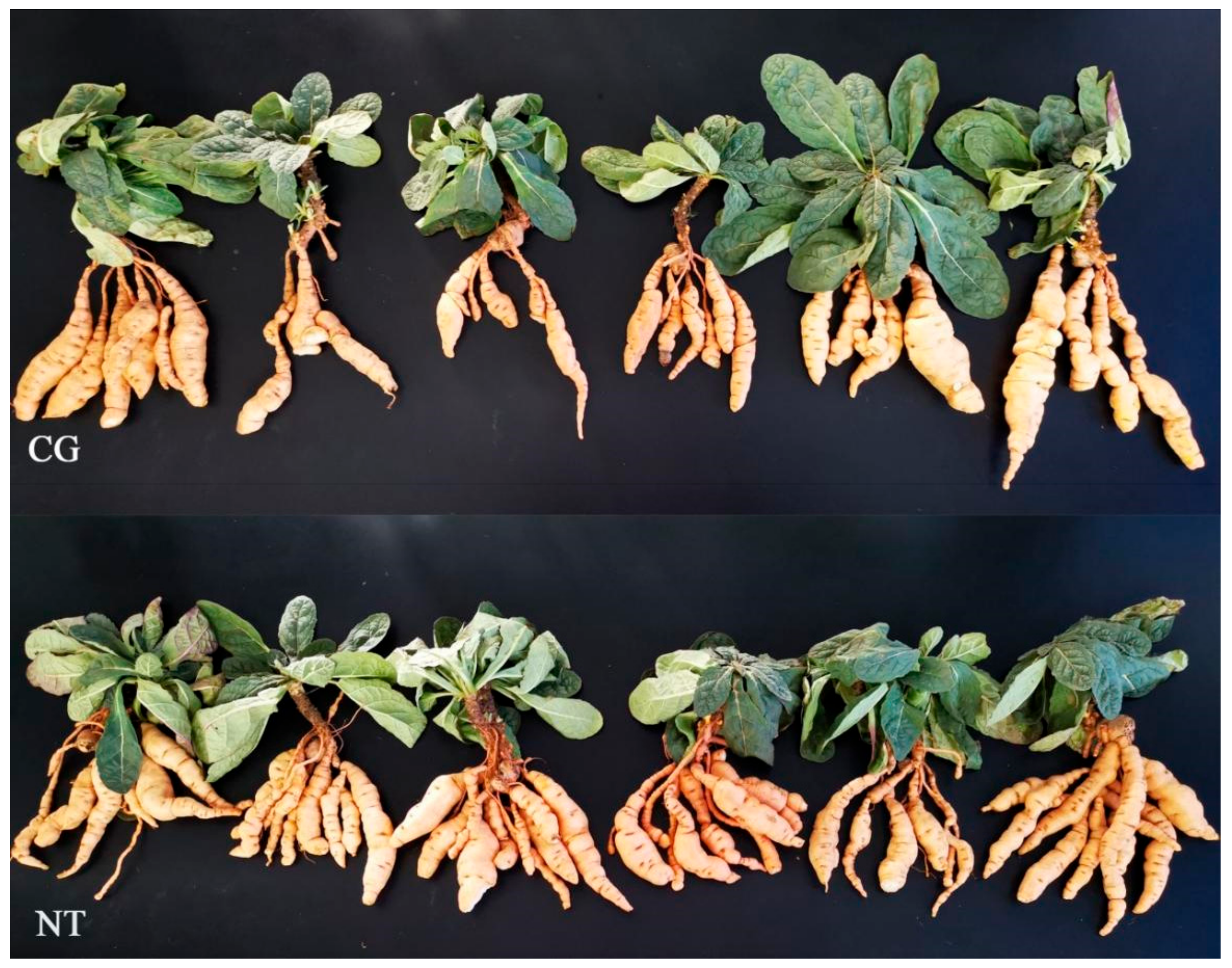 Cimb 44 00227 g001 550