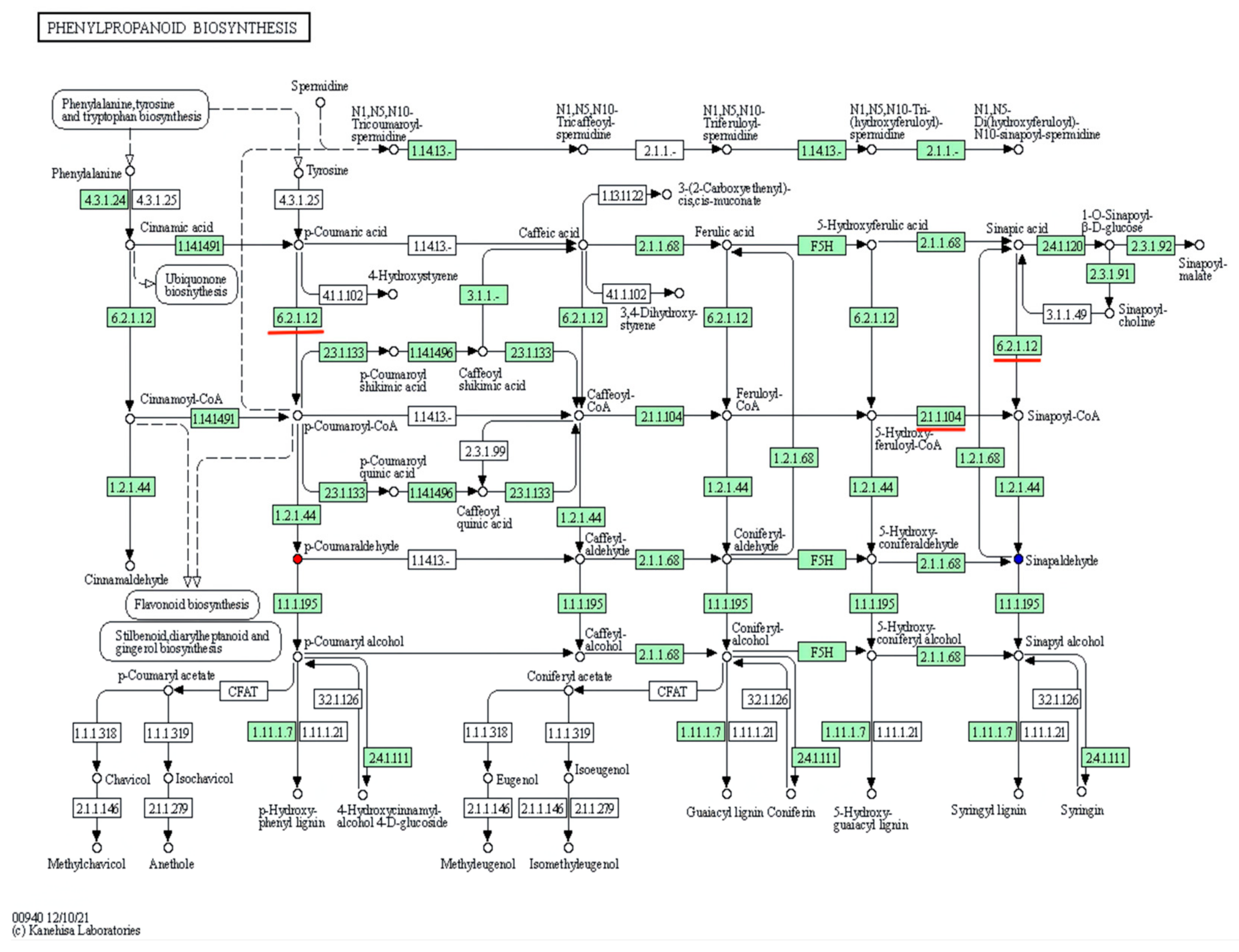 Cimb 44 00227 g003 550