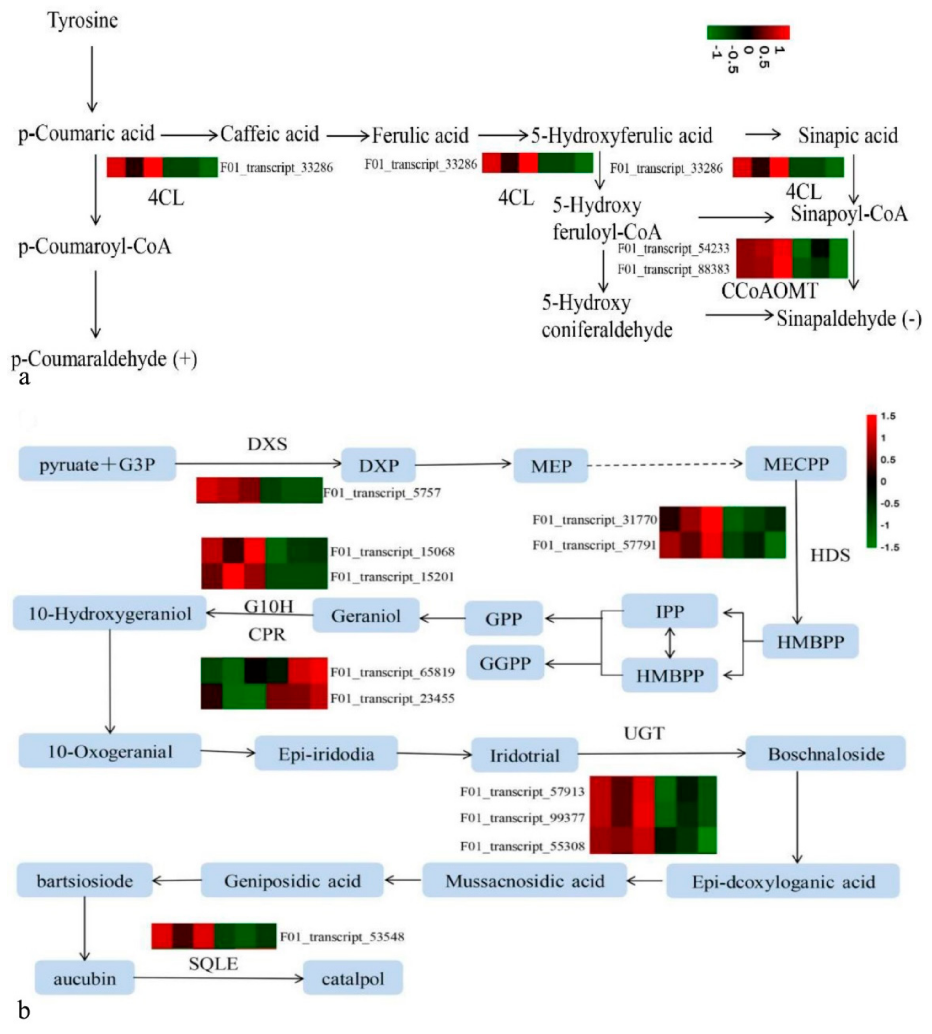 Cimb 44 00227 g006 550