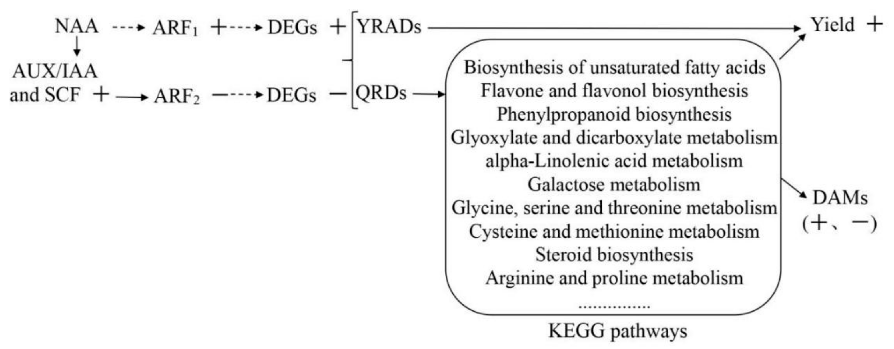 Cimb 44 00227 g008 550