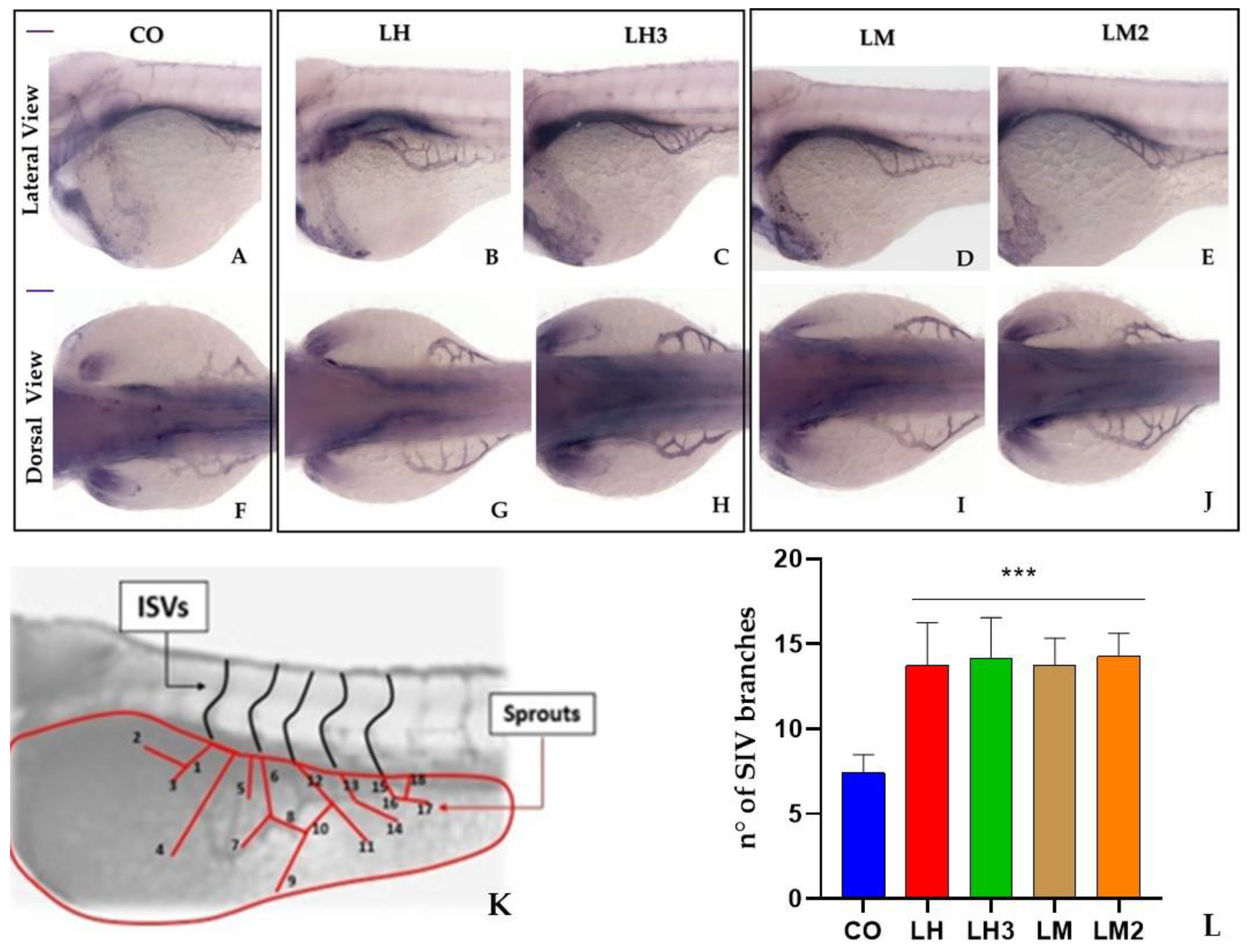 Cimb 44 00232 g005 550