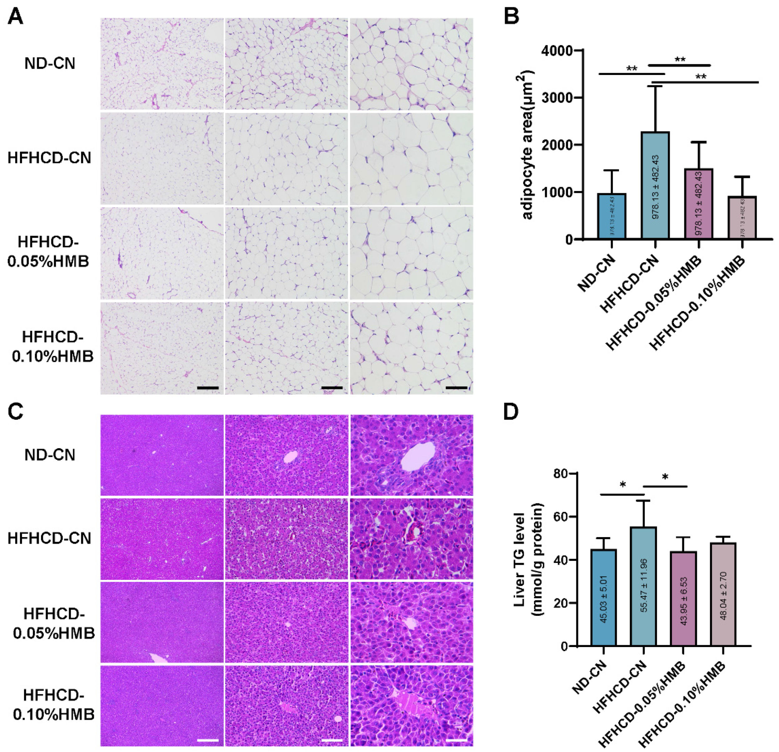 Cimb 44 00235 g003 550