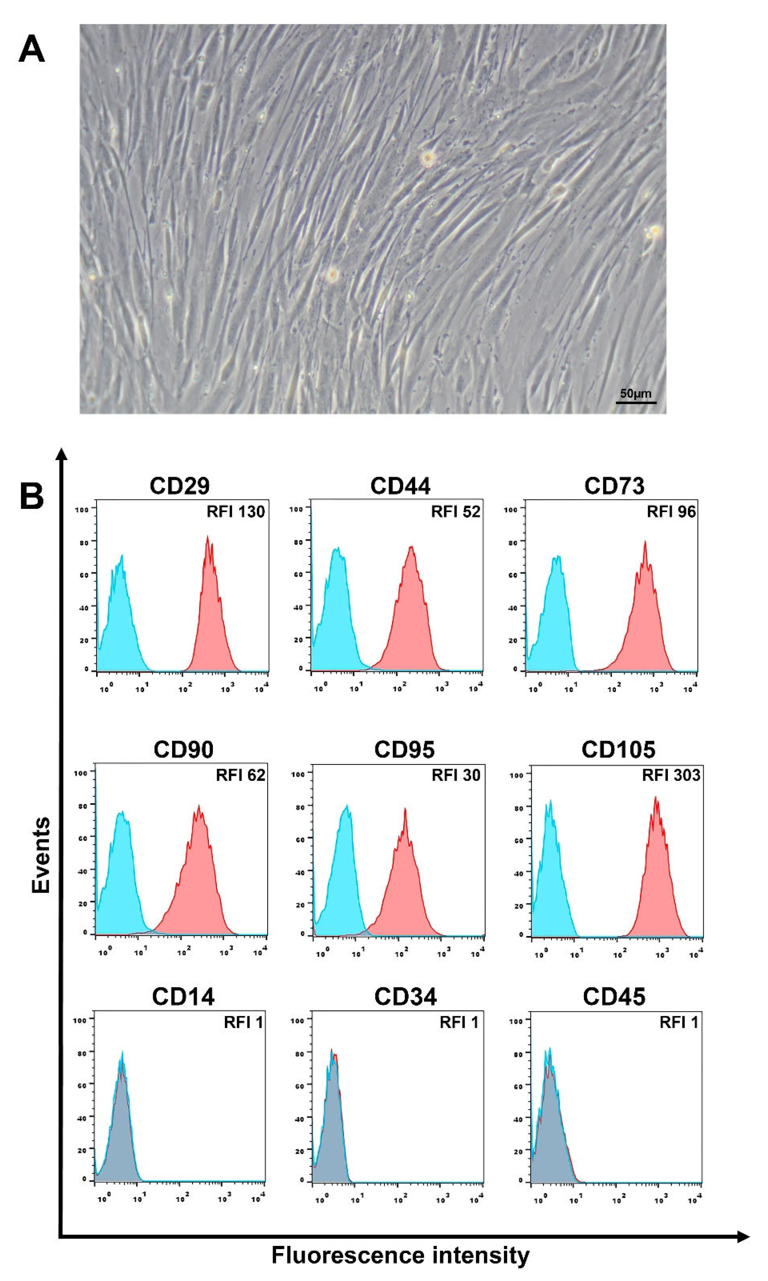 Cimb 44 00236 g001 550