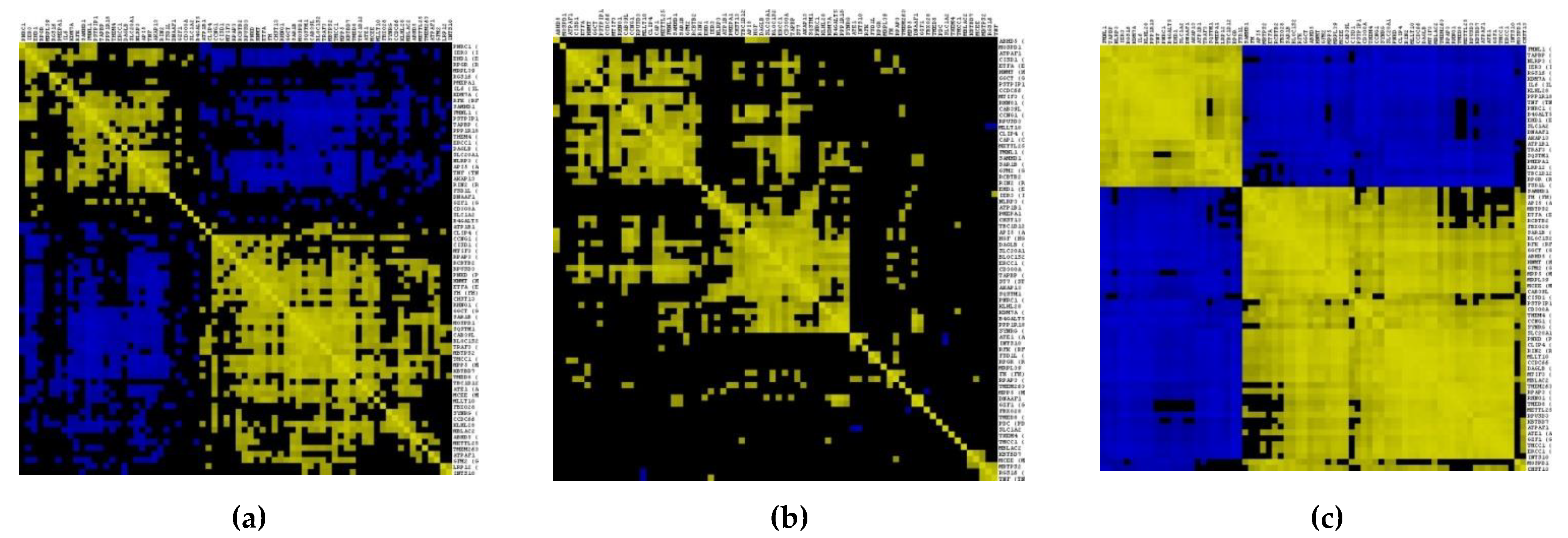 Cimb 44 00241 g004 Cimb 44 00241 g004