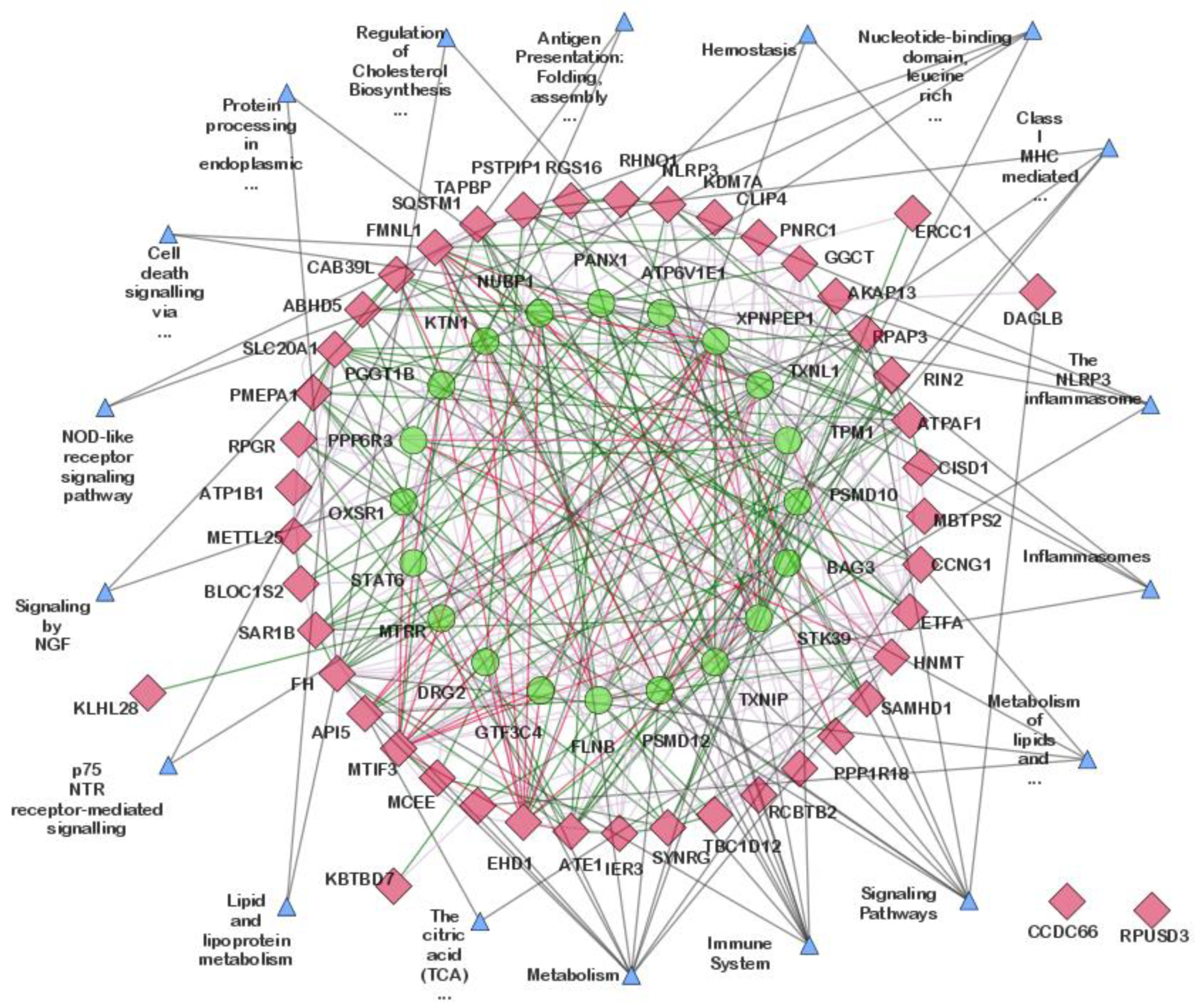Cimb 44 00241 g006 Cimb 44 00241 g006