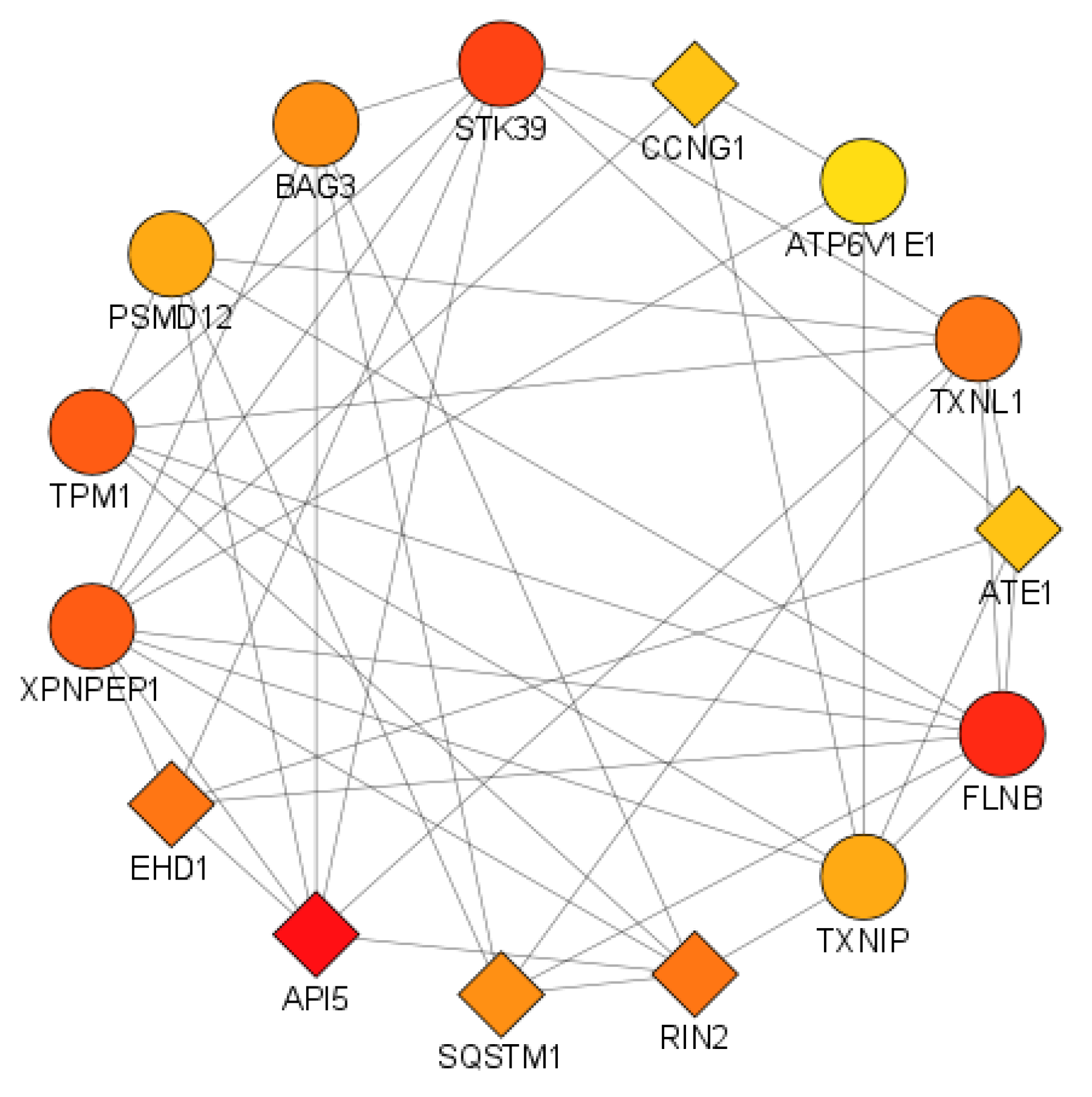 Cimb 44 00241 g007 Cimb 44 00241 g007