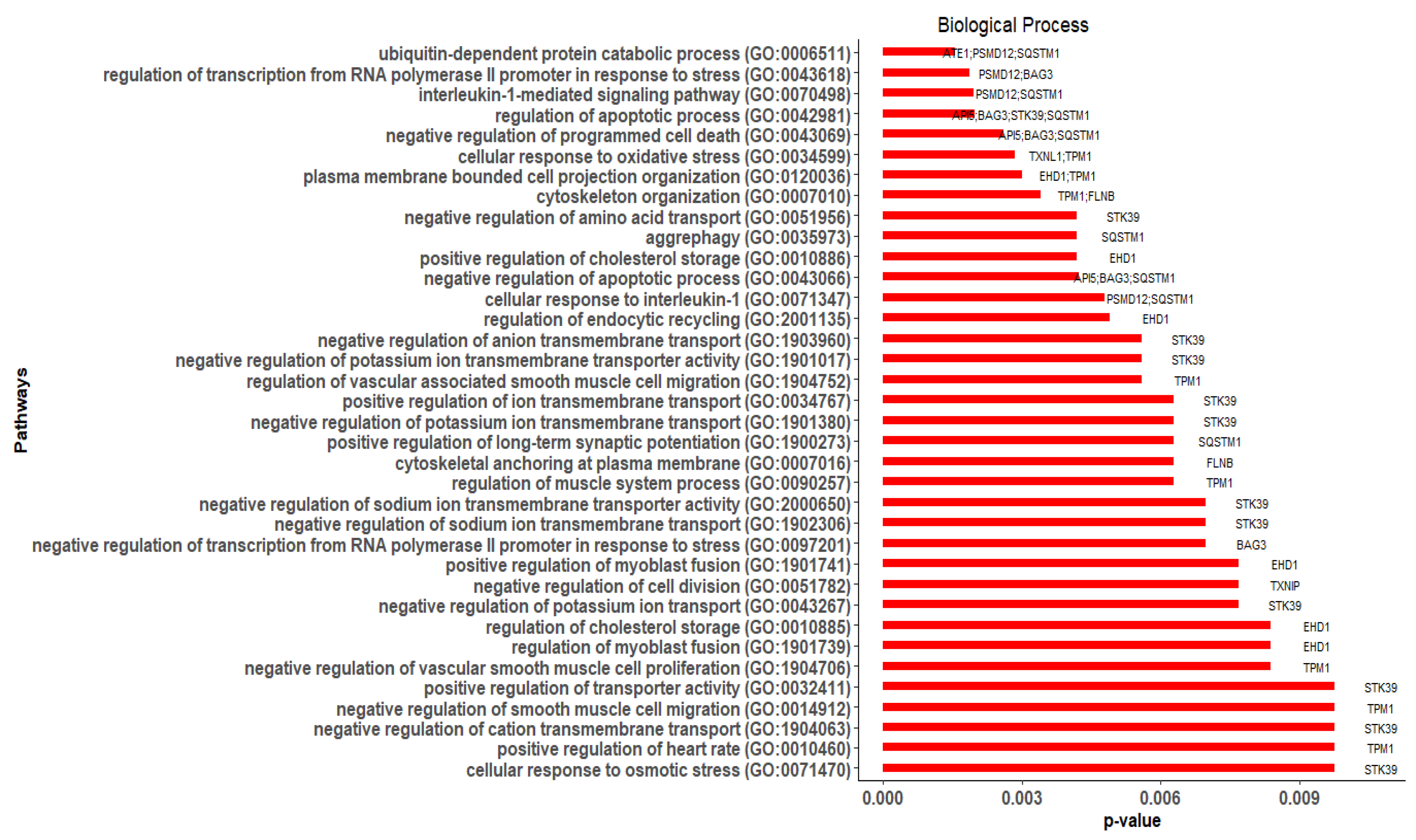 Cimb 44 00241 g008 Cimb 44 00241 g008