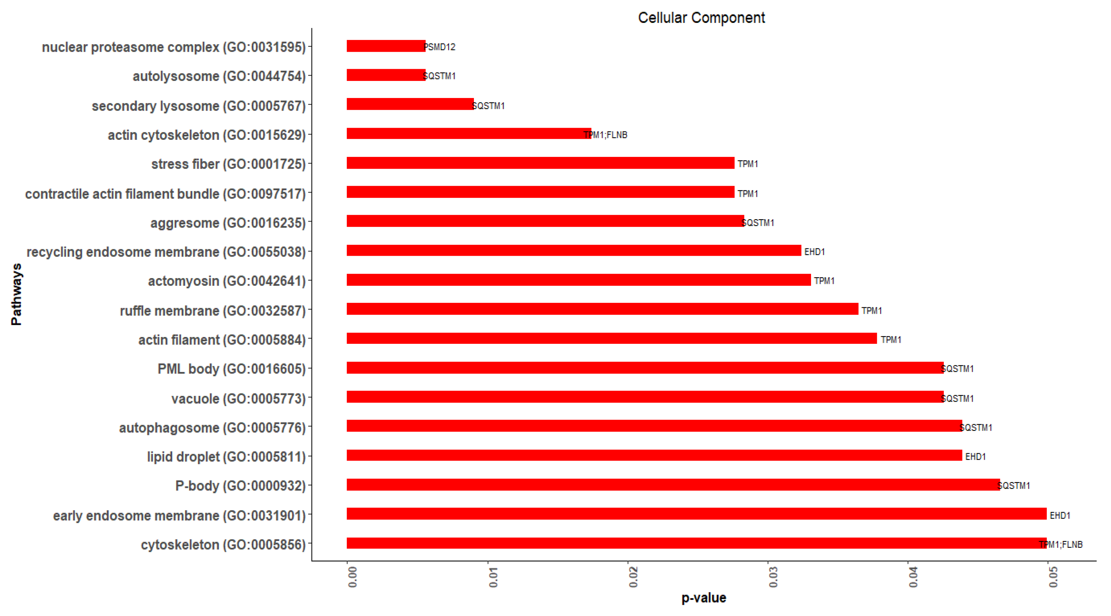 Cimb 44 00241 g010 Cimb 44 00241 g010