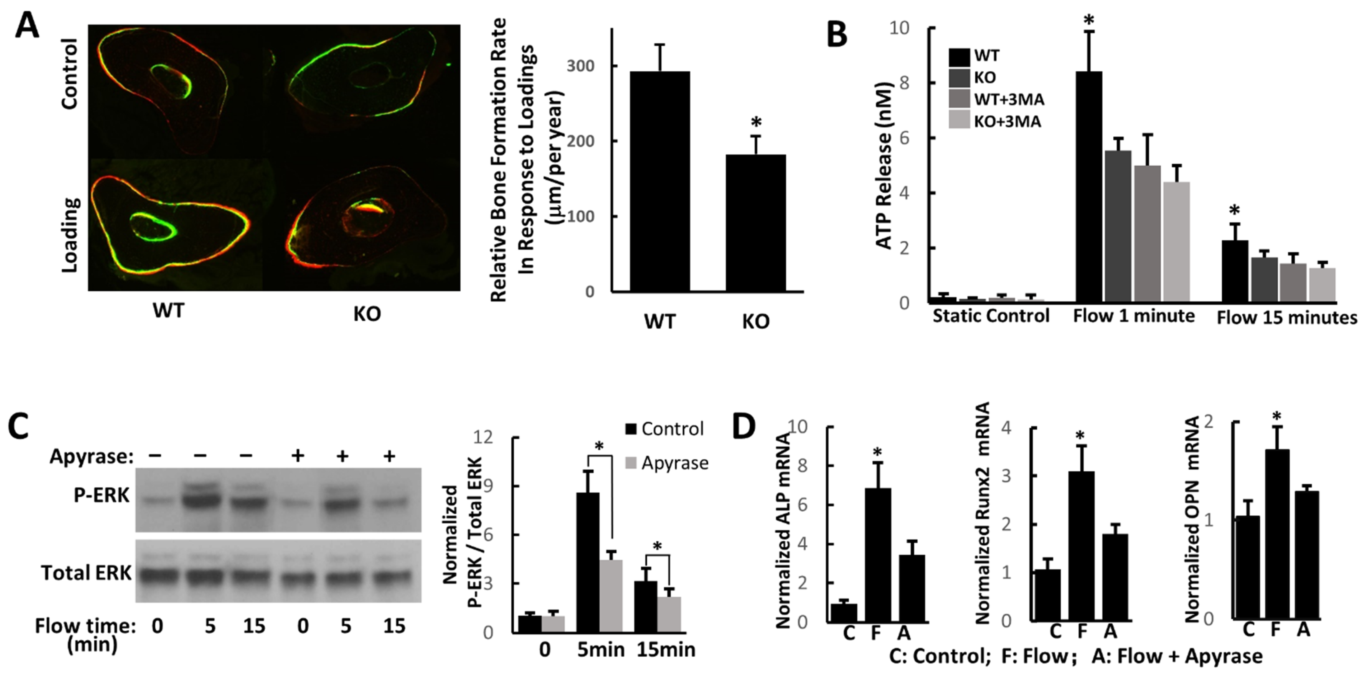 Cimb 44 00247 g003 550