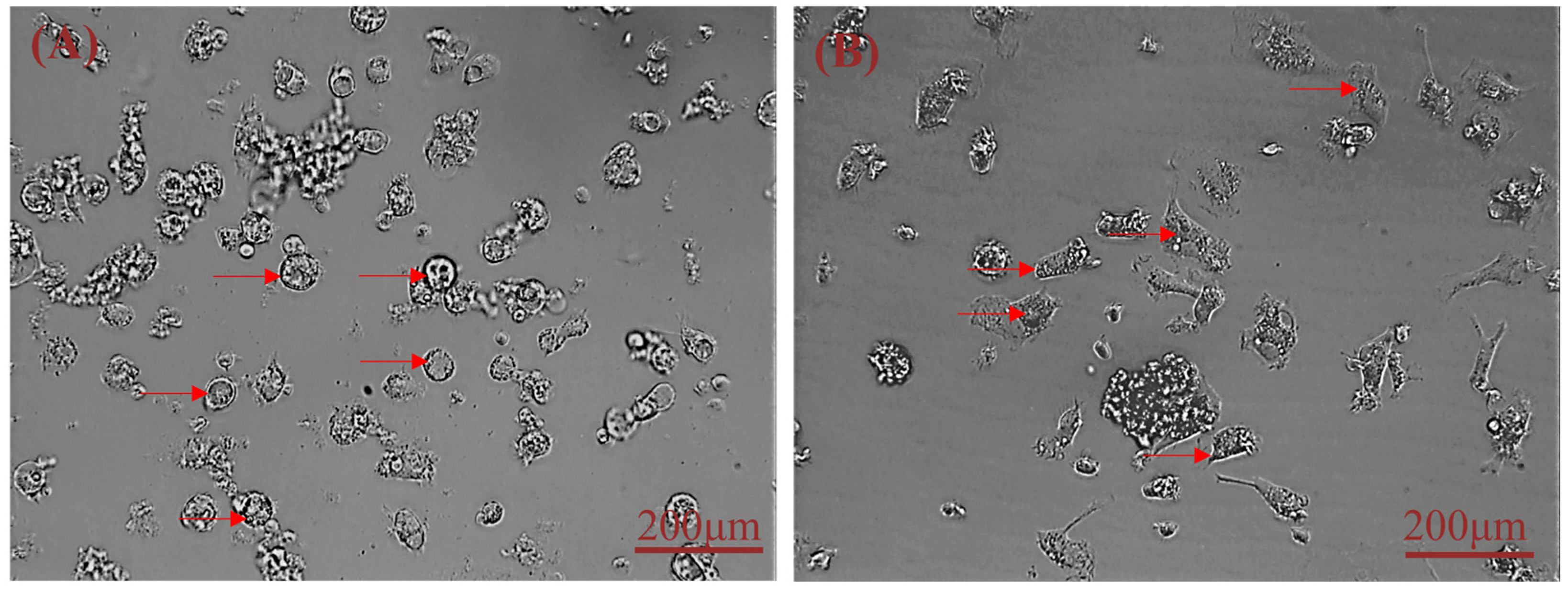 Cimb 44 00248 g001 550