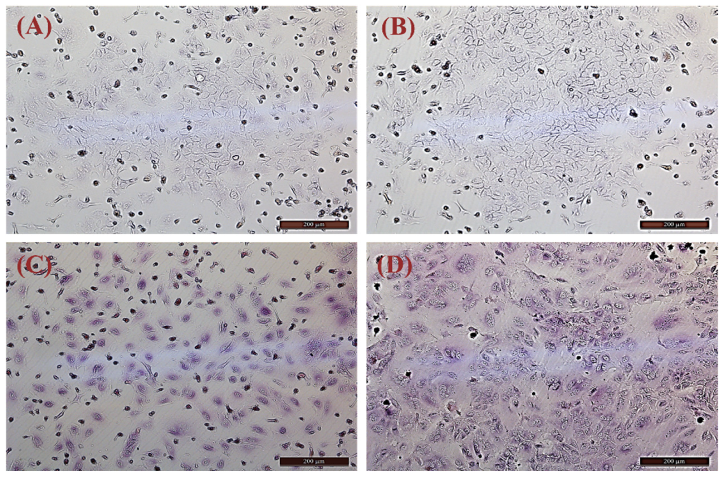 Cimb 44 00248 g003 550