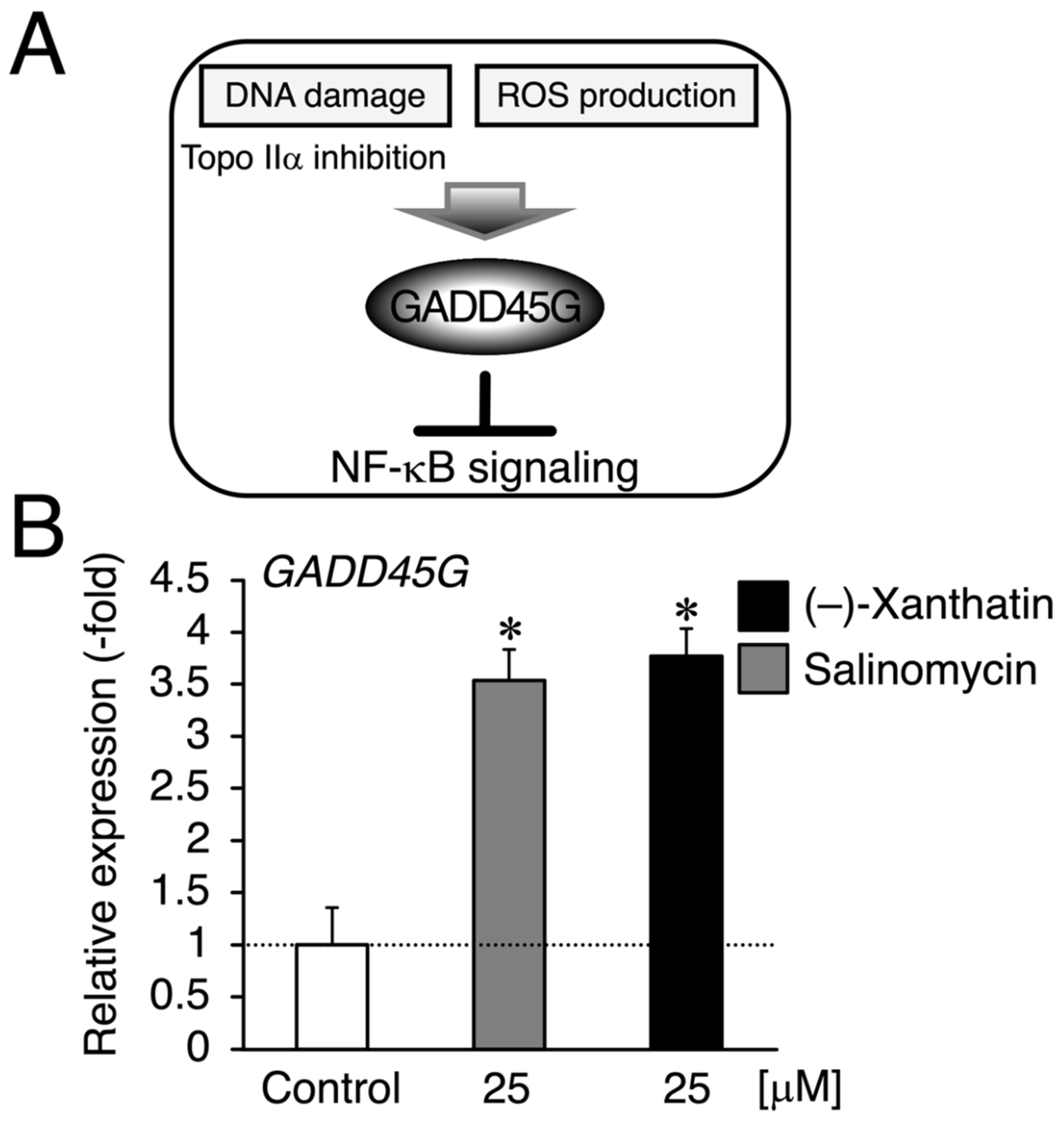 Cimb 44 00264 g003 Cimb 44 00264 g003