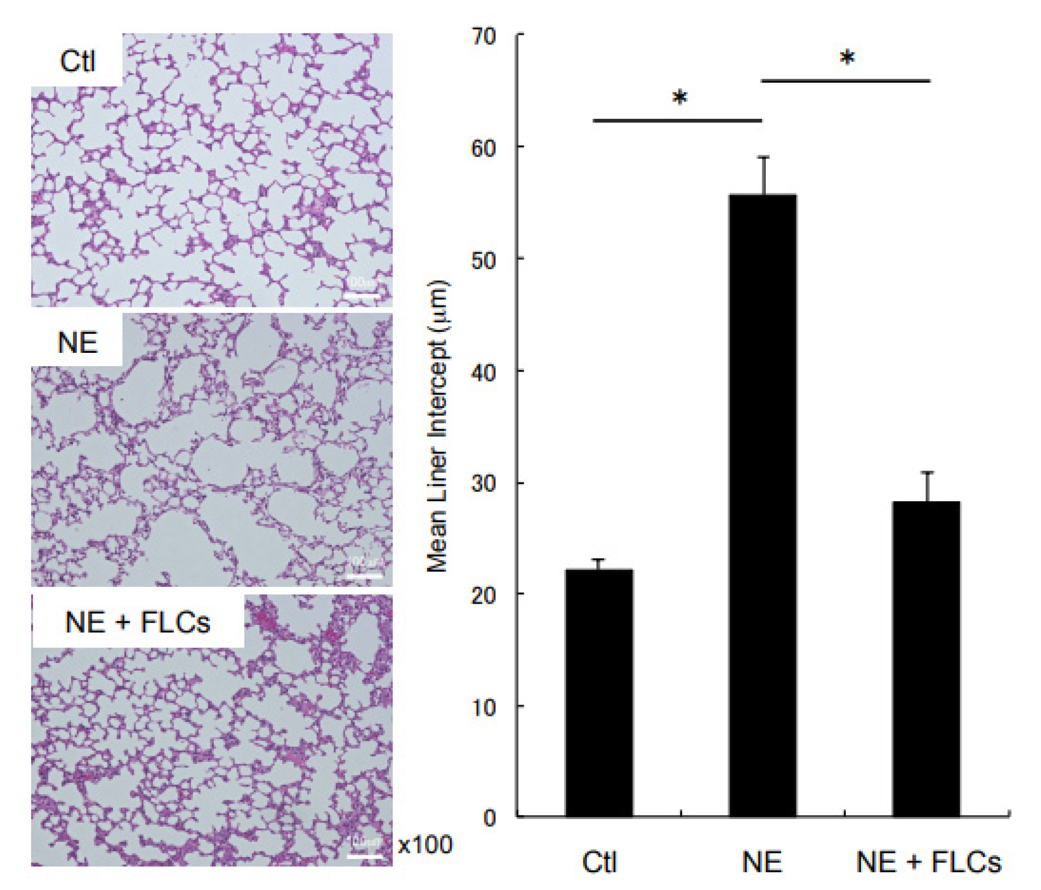 Cimb 44 00269 g002 550