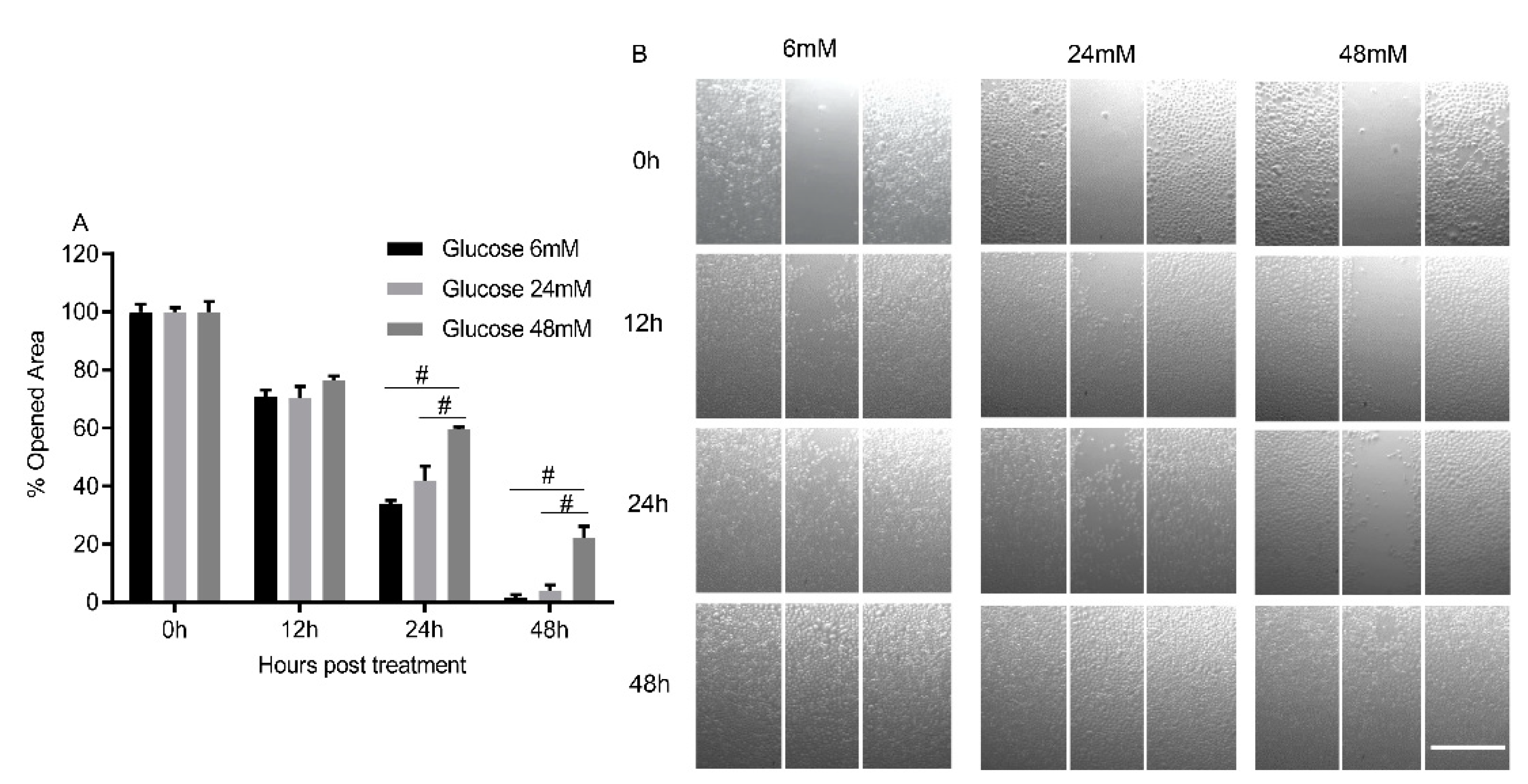 Cimb 44 00275 g002 550