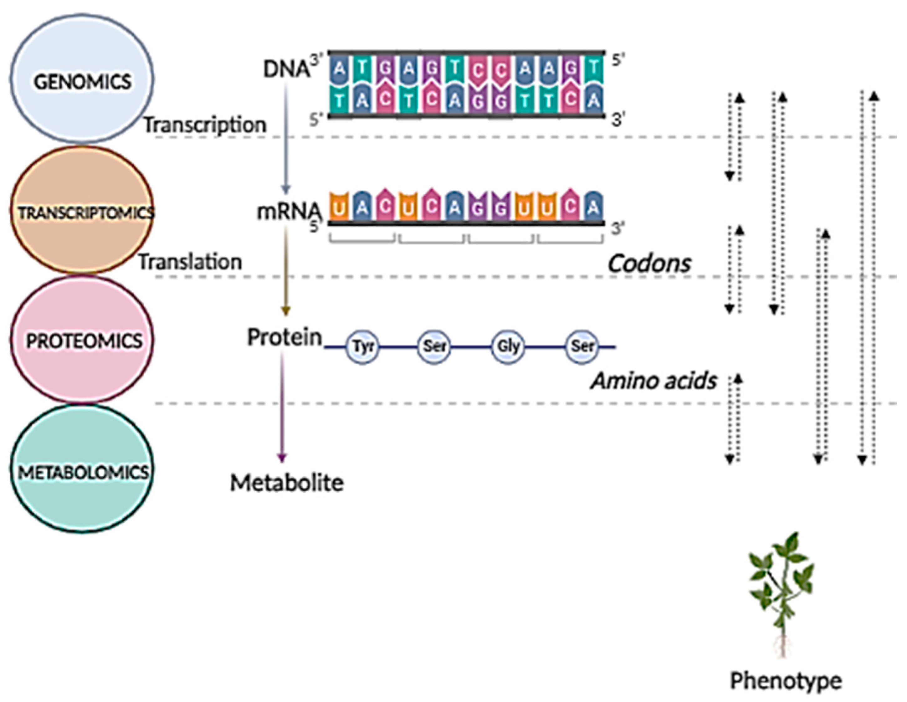 Cimb 44 00287 g001 550
