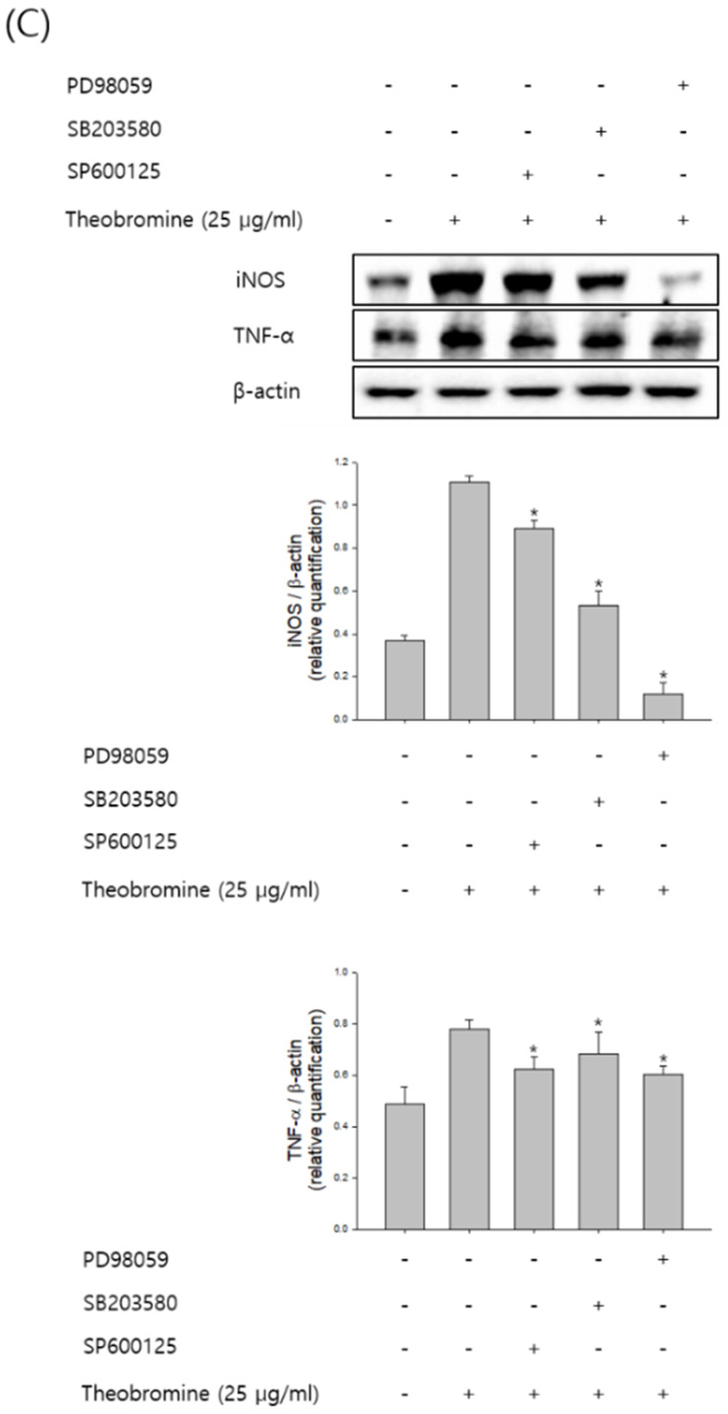 Cimb 44 00289 g005b 550