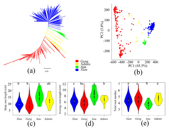 Genome-Wide Association Study Reveals Candidate Genes for