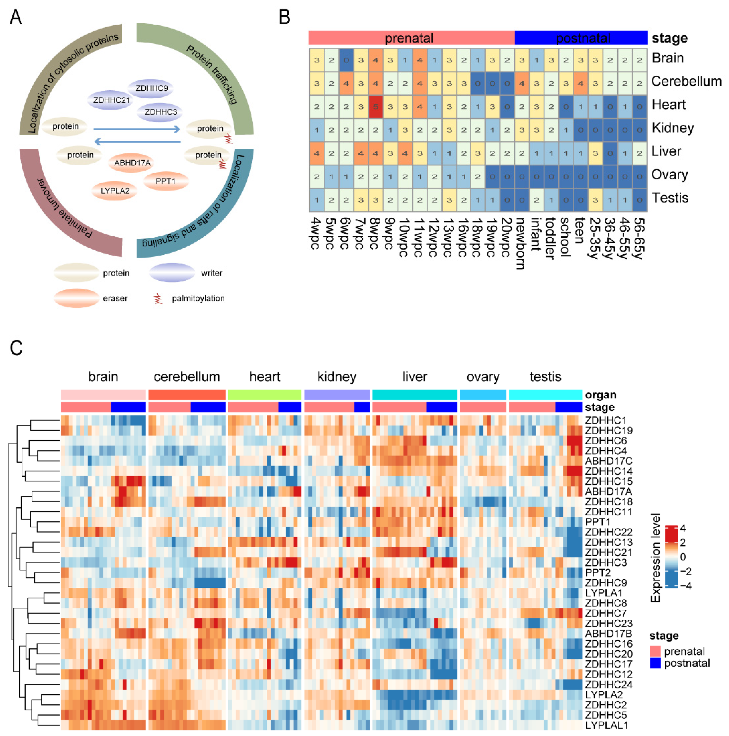 Cimb 44 00306 g001 Cimb 44 00306 g001