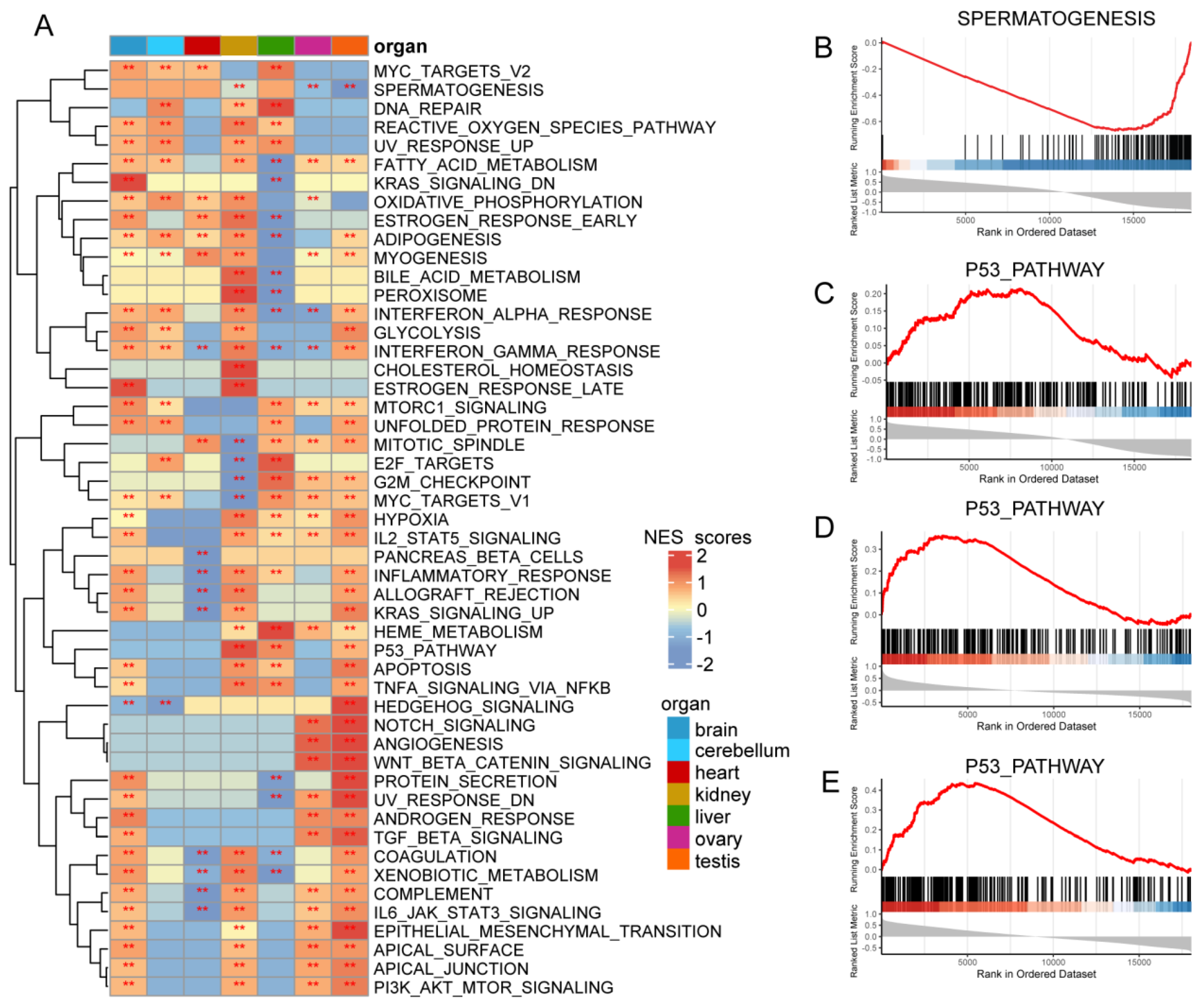 Cimb 44 00306 g008 Cimb 44 00306 g008