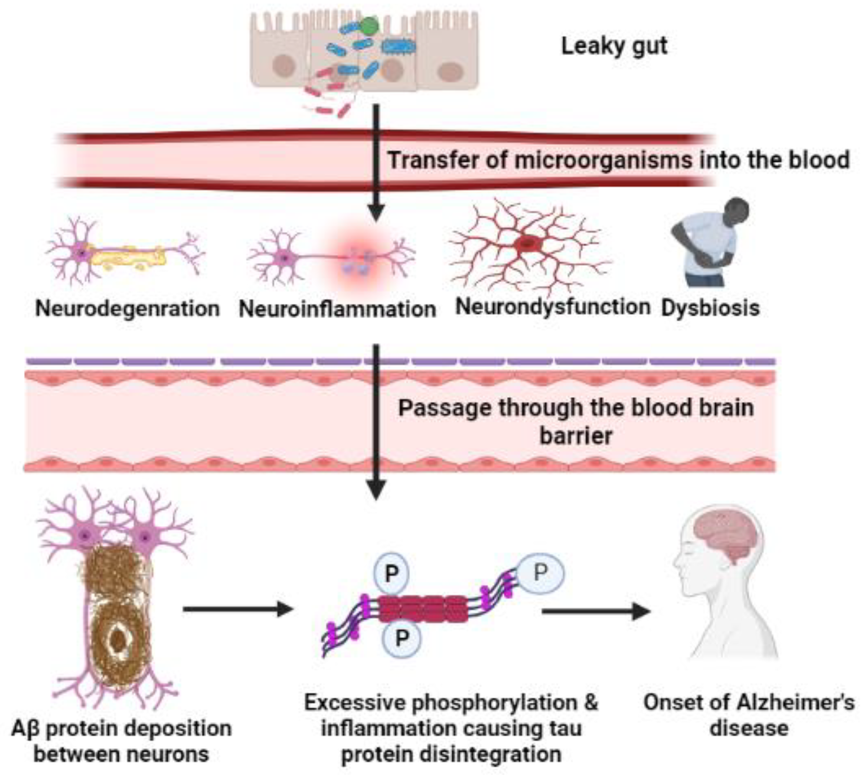 Cimb 44 00314 g001 Cimb 44 00314 g001