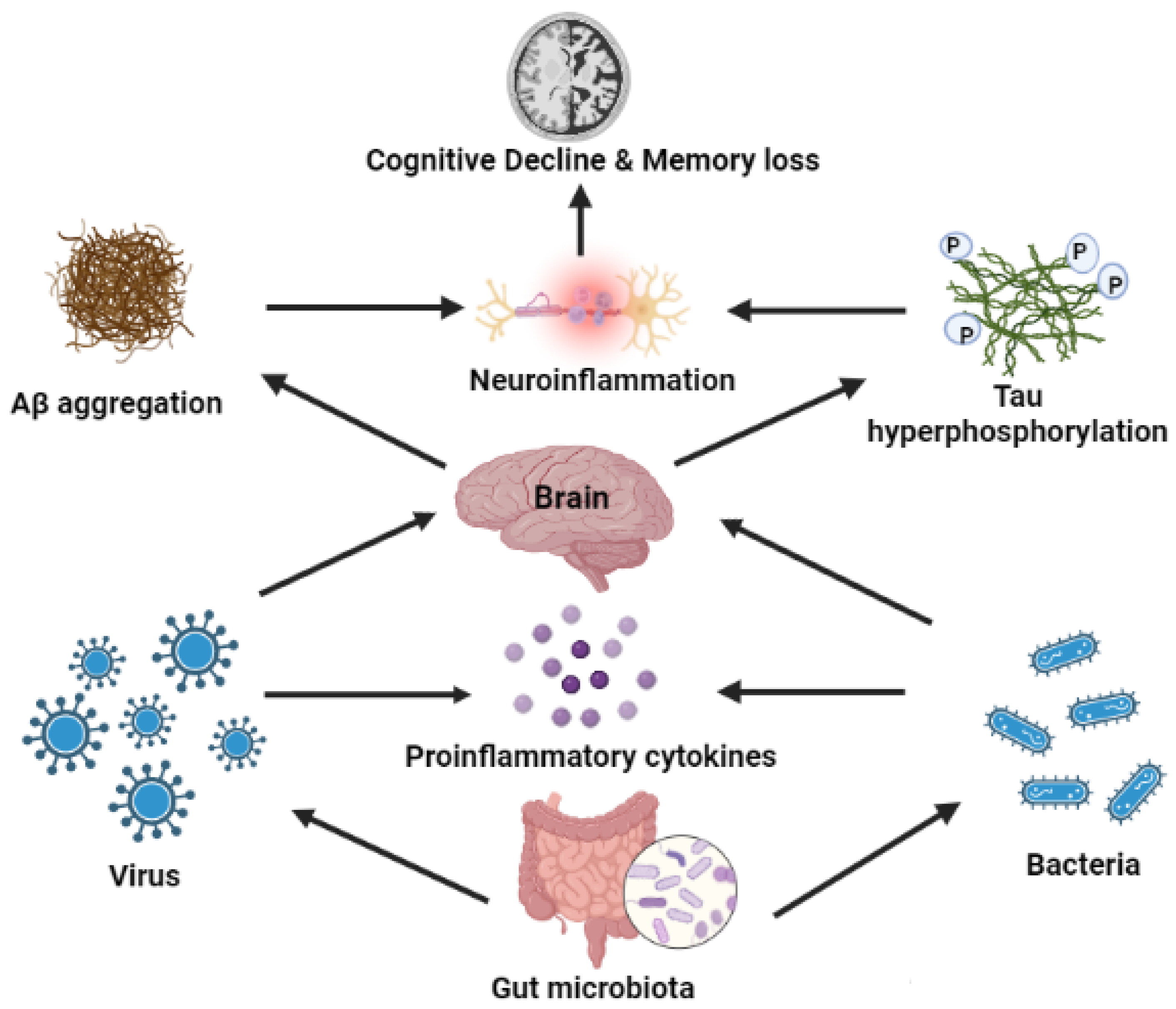 Cimb 44 00314 g002 Cimb 44 00314 g002