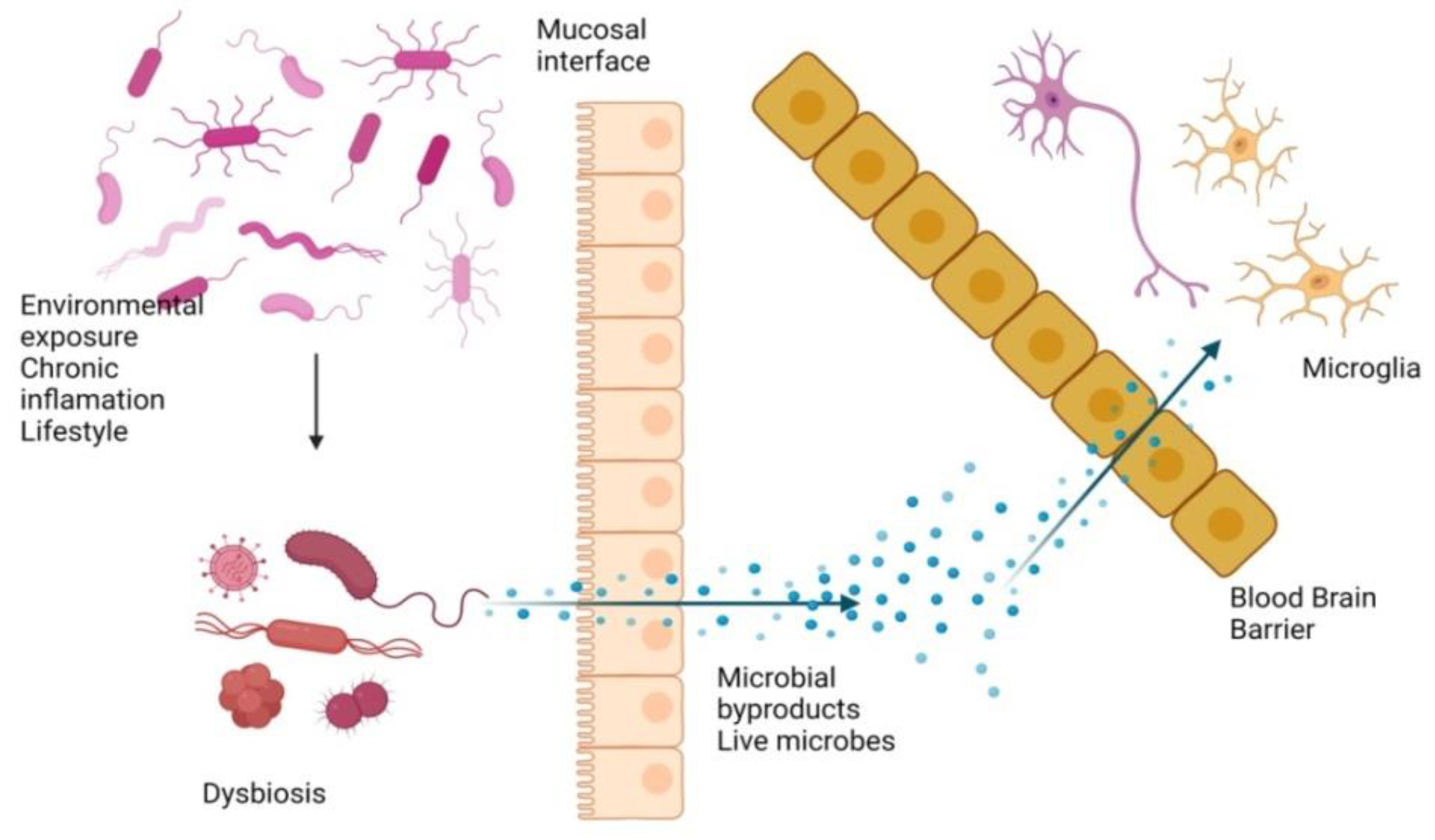 Cimb 44 00314 g004 Cimb 44 00314 g004