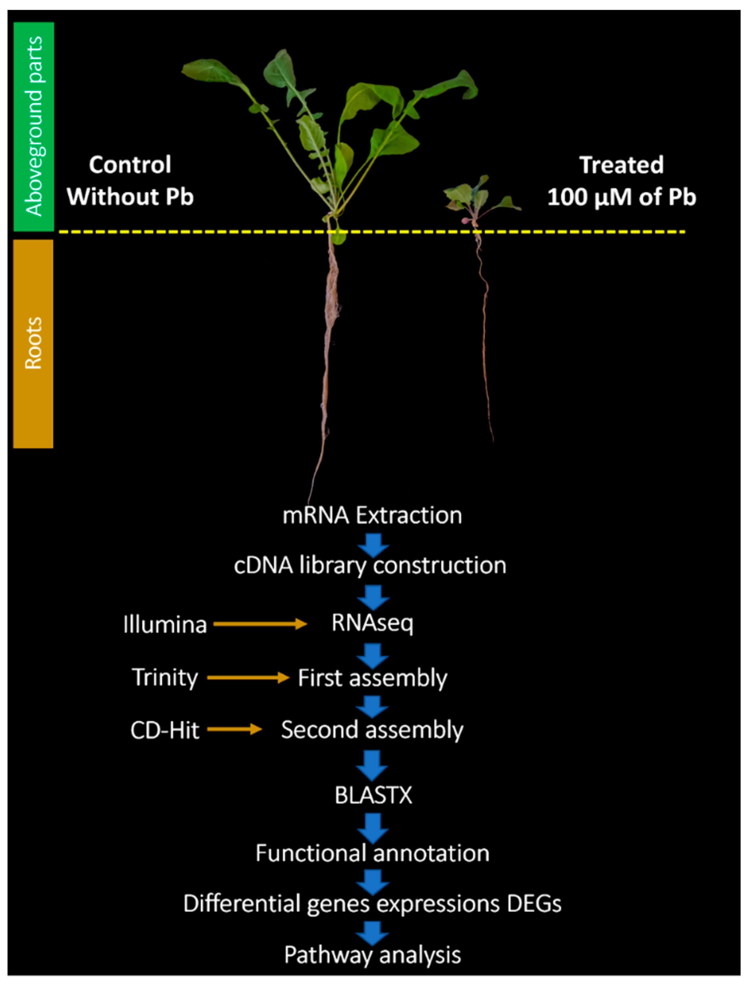 Cimb 44 00318 g001 Cimb 44 00318 g001