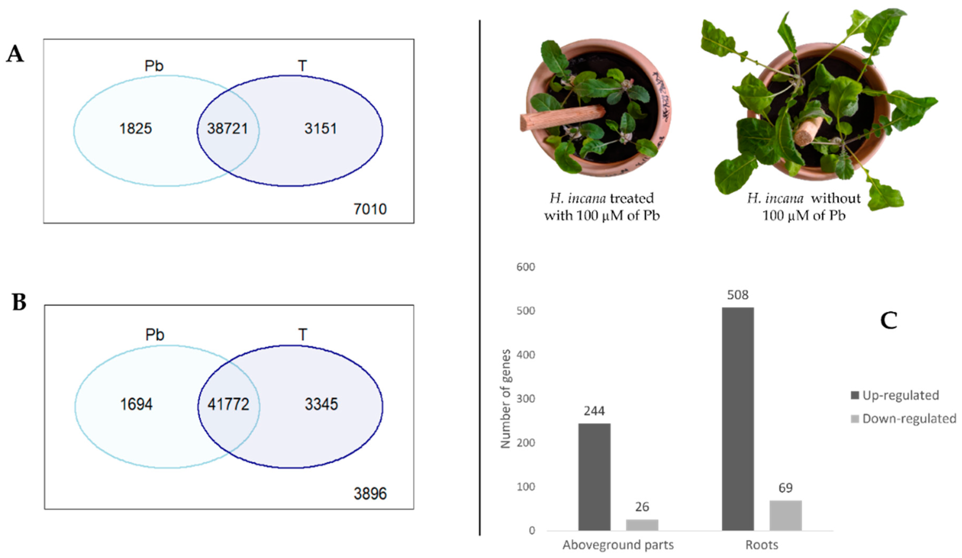 Cimb 44 00318 g003 Cimb 44 00318 g003