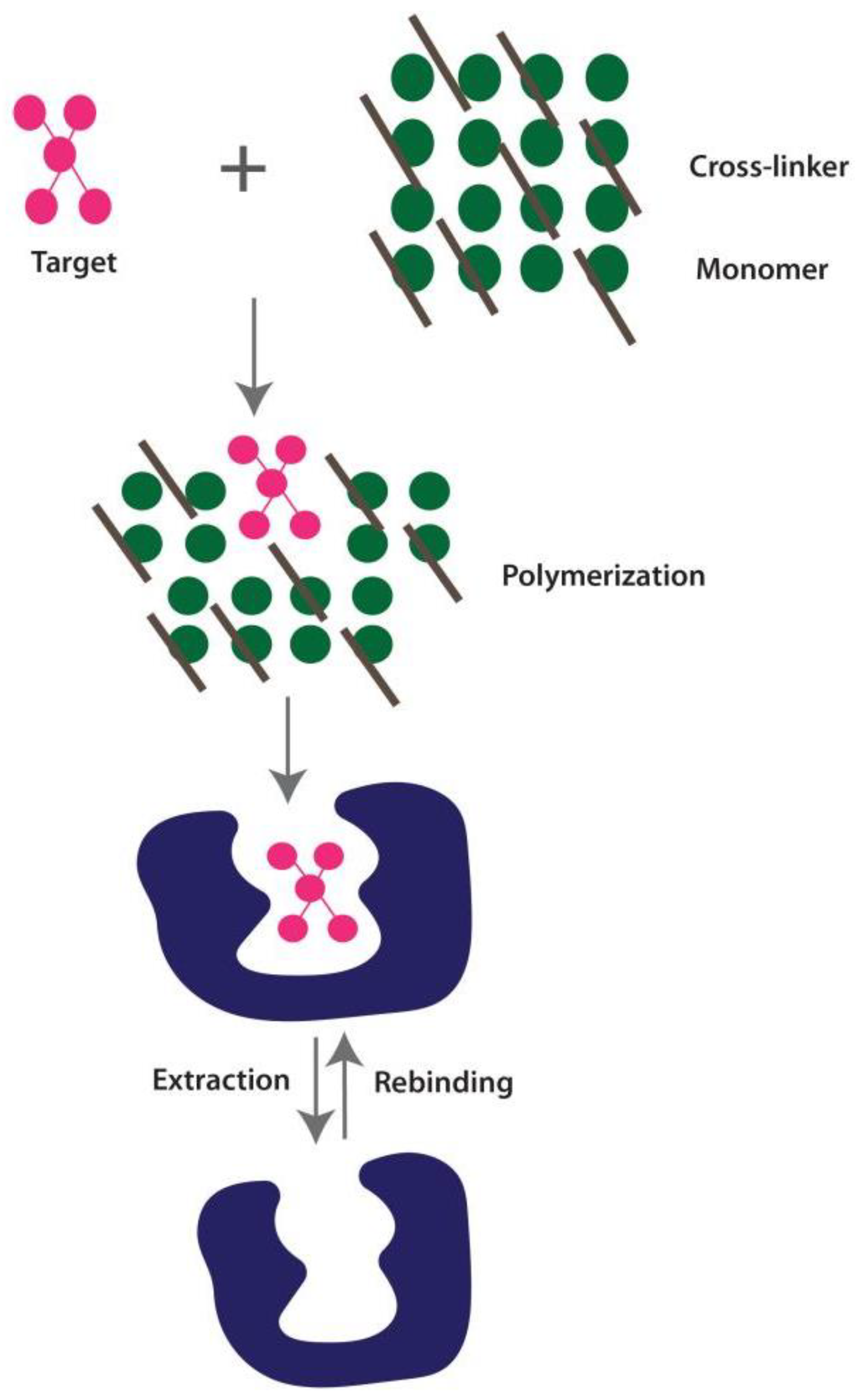 Cimb 44 00325 g005 Cimb 44 00325 g005