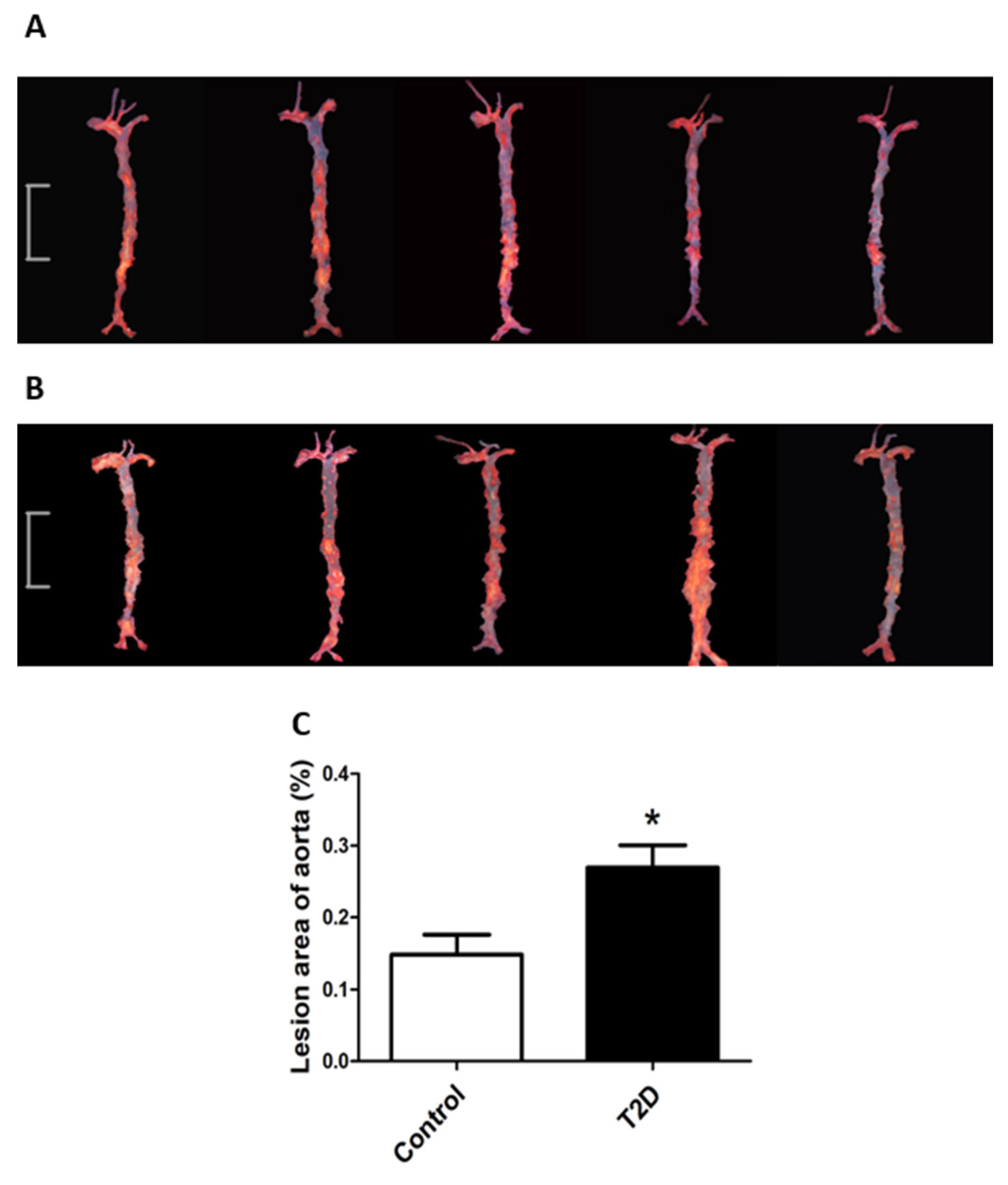 Cimb 44 00328 g003 Cimb 44 00328 g003