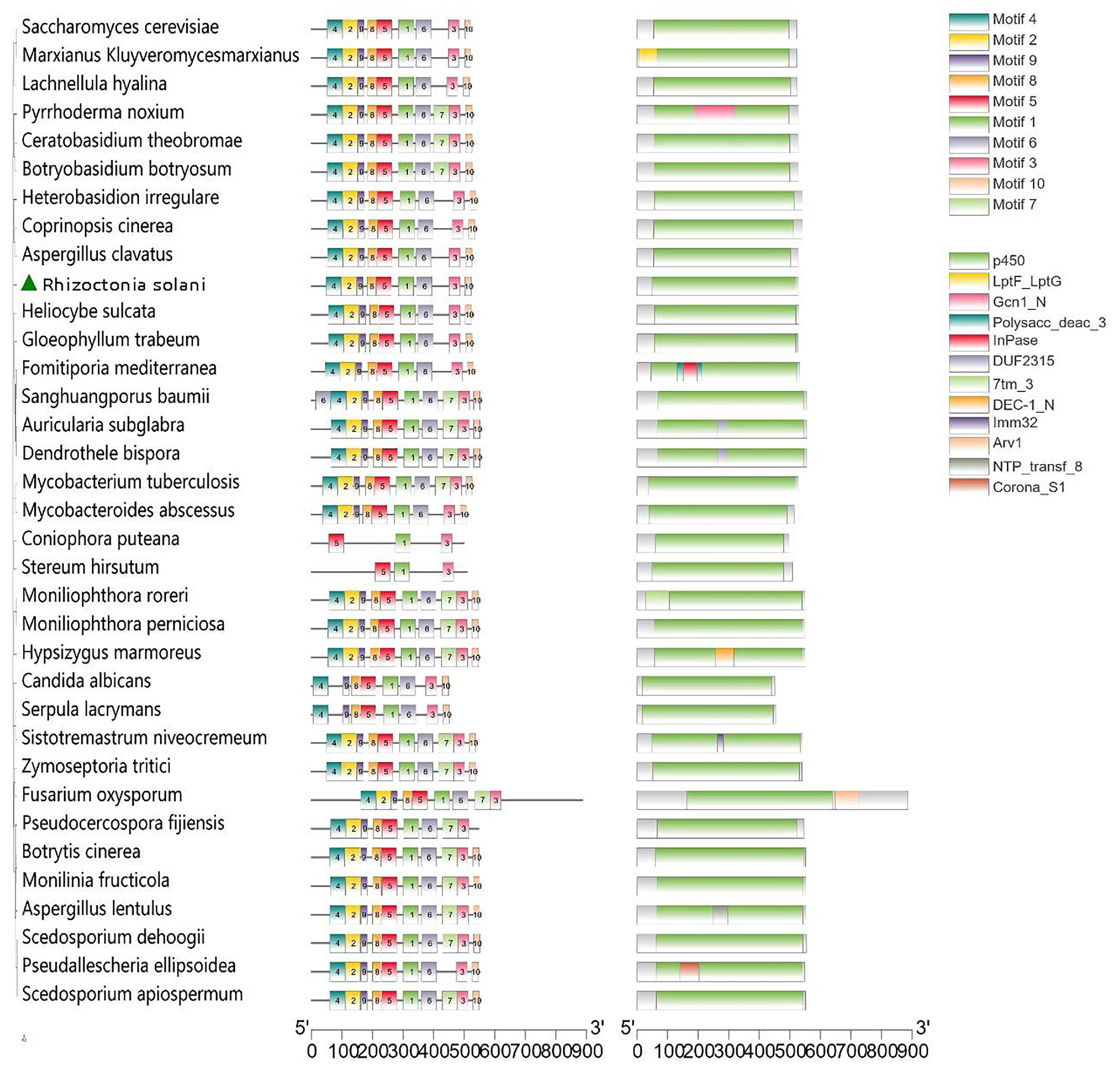 Cimb 44 00330 g004 Cimb 44 00330 g004