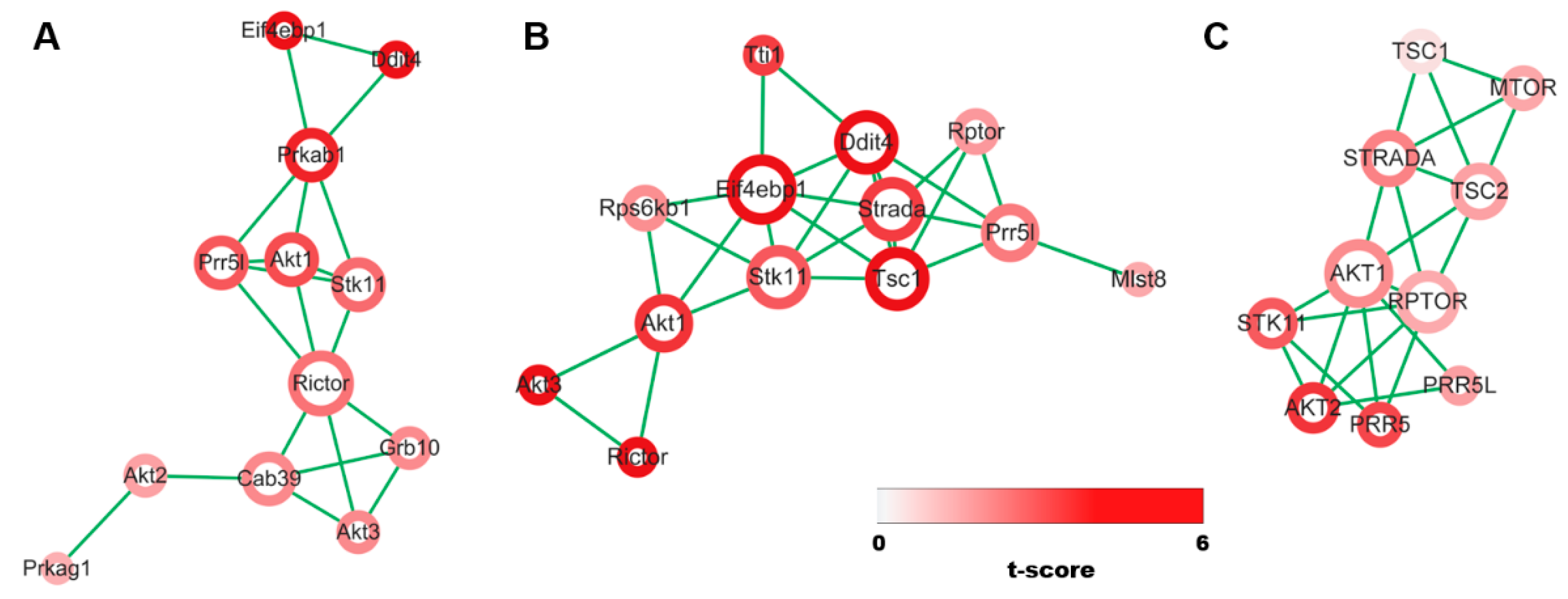 Expression of AKT1 Related with Clinicopathological Parameters in Clear
