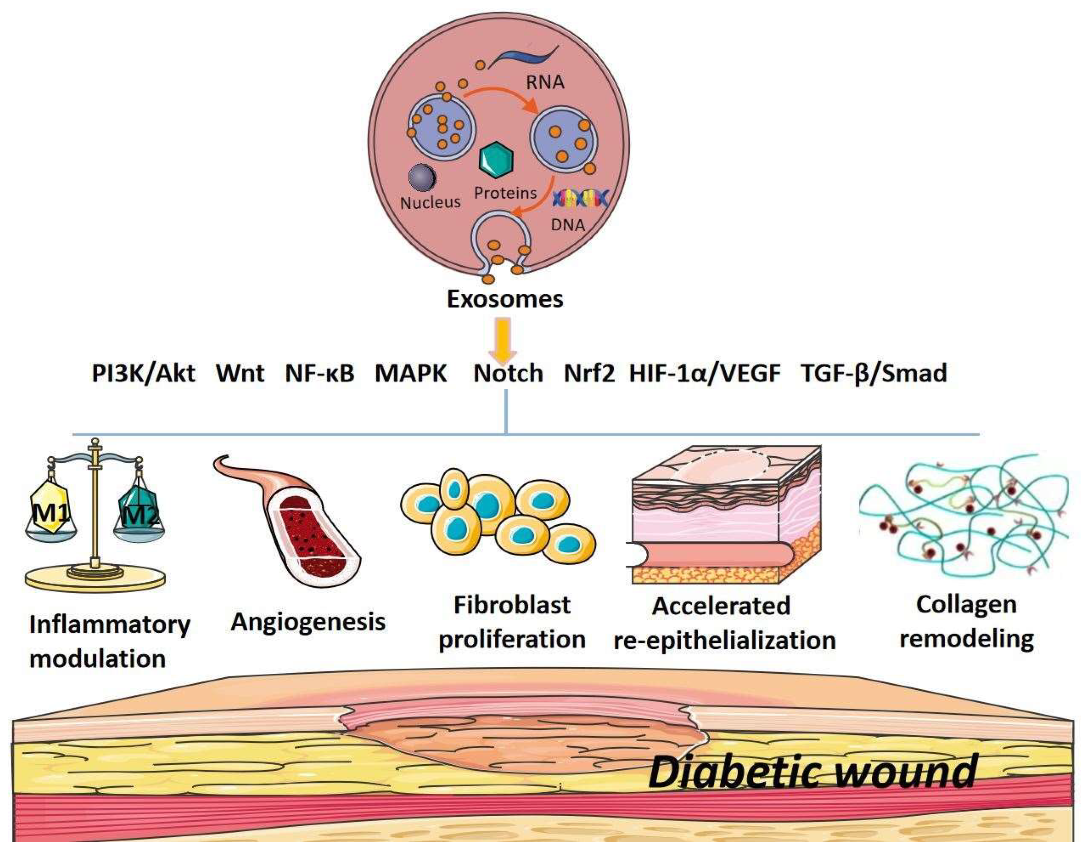 Cimb 44 00337 g002 Cimb 44 00337 g002