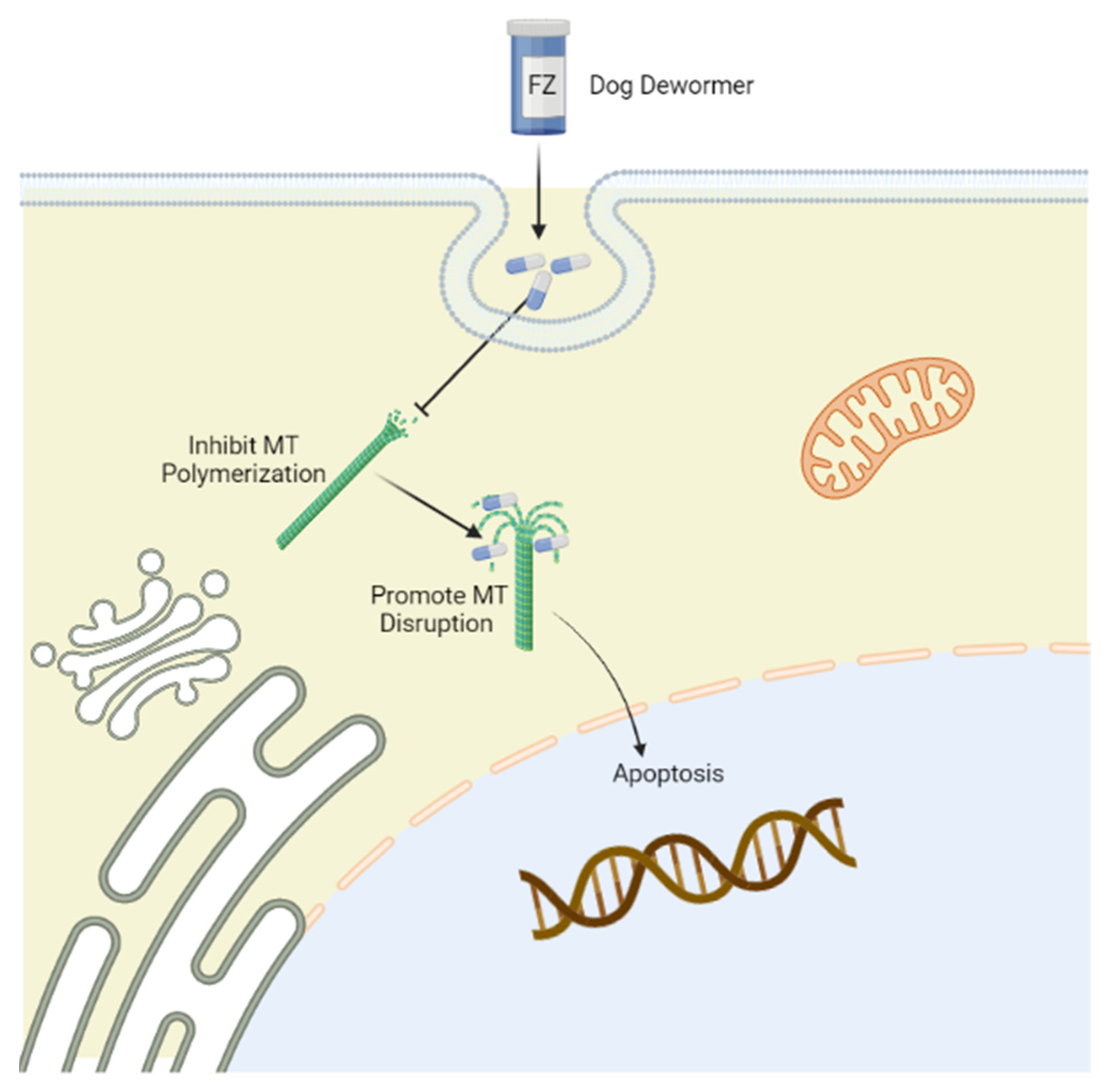 Fenbendazole Dog Cancer Protocolepocrates Coverage