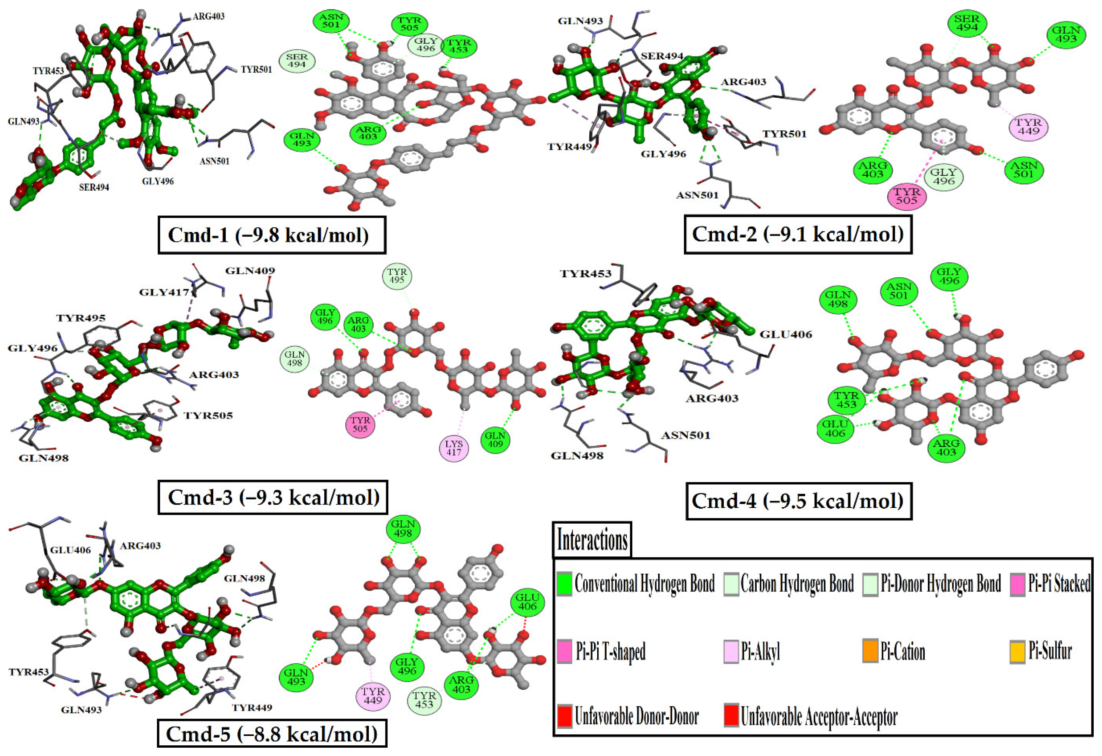 Cimb 44 00342 g002 Cimb 44 00342 g002