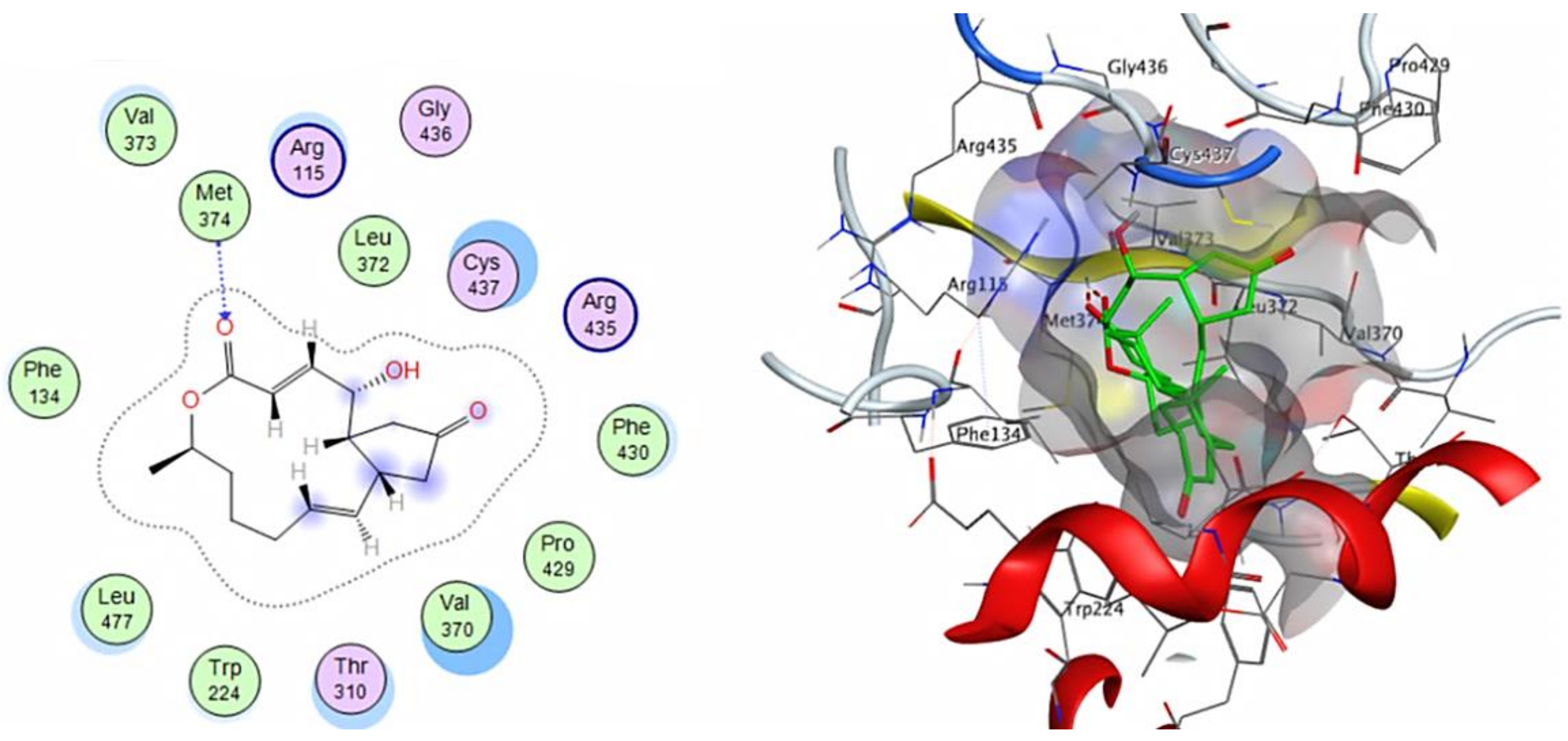 Cimb 44 00344 g008 Cimb 44 00344 g008