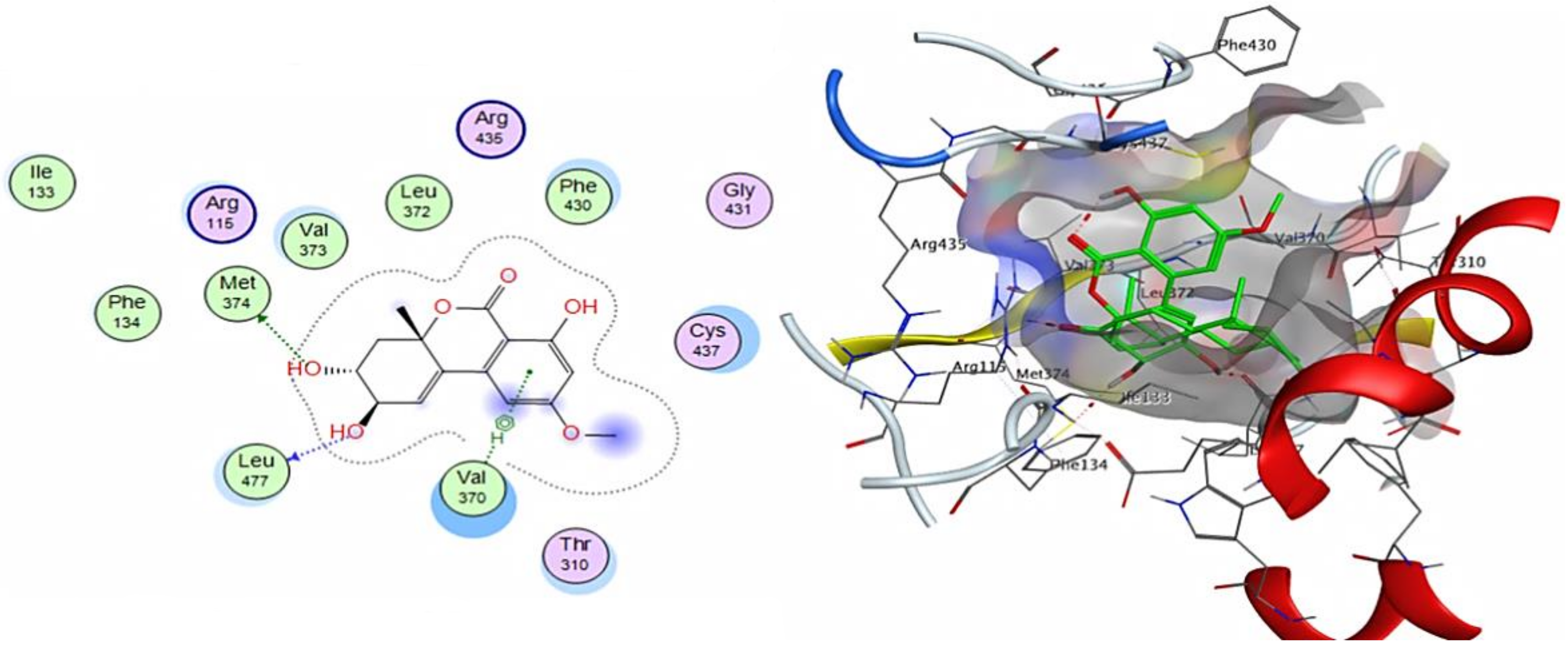 Cimb 44 00344 g009 Cimb 44 00344 g009