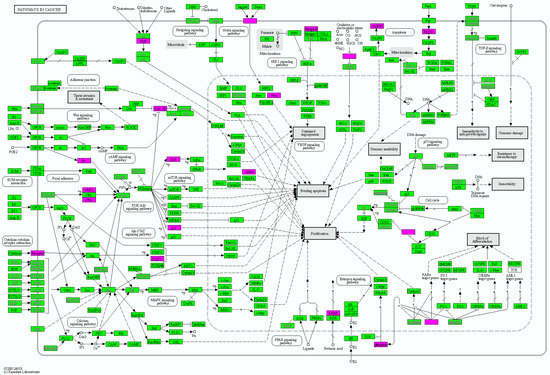 Immune Pathway and Gene Database (IMPAGT) Revealed the Immune ...