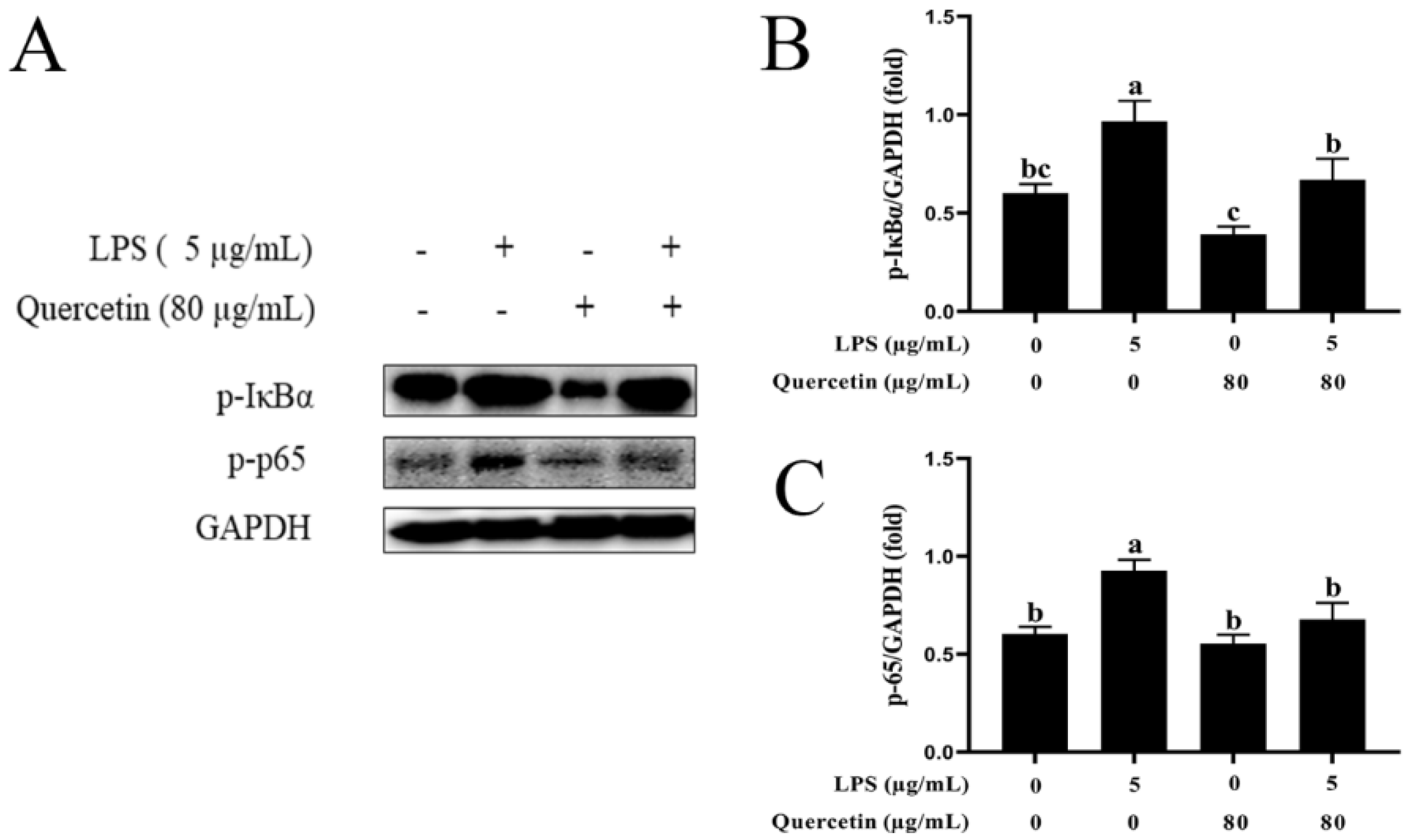 Cimb 44 00356 g007 Cimb 44 00356 g007