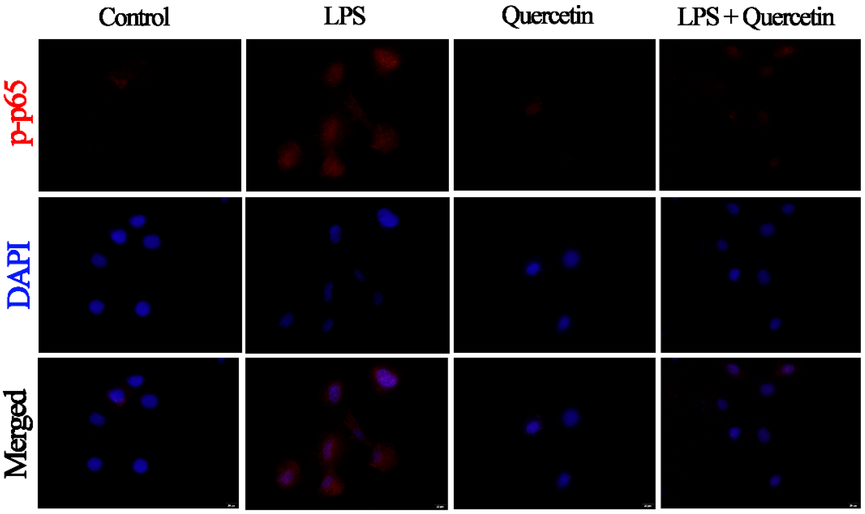 Cimb 44 00356 g008 Cimb 44 00356 g008