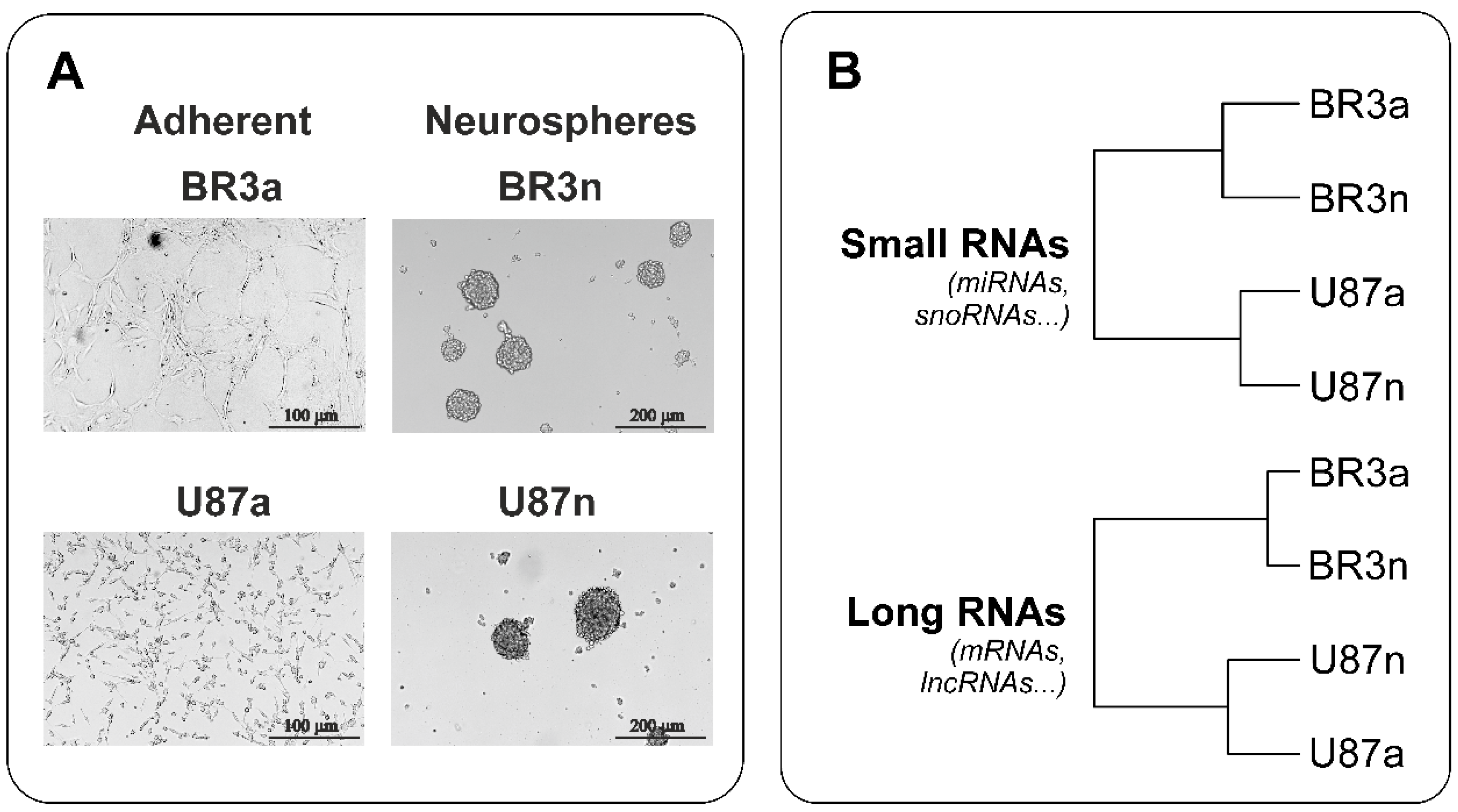 Cimb 44 00360 g001 Cimb 44 00360 g001