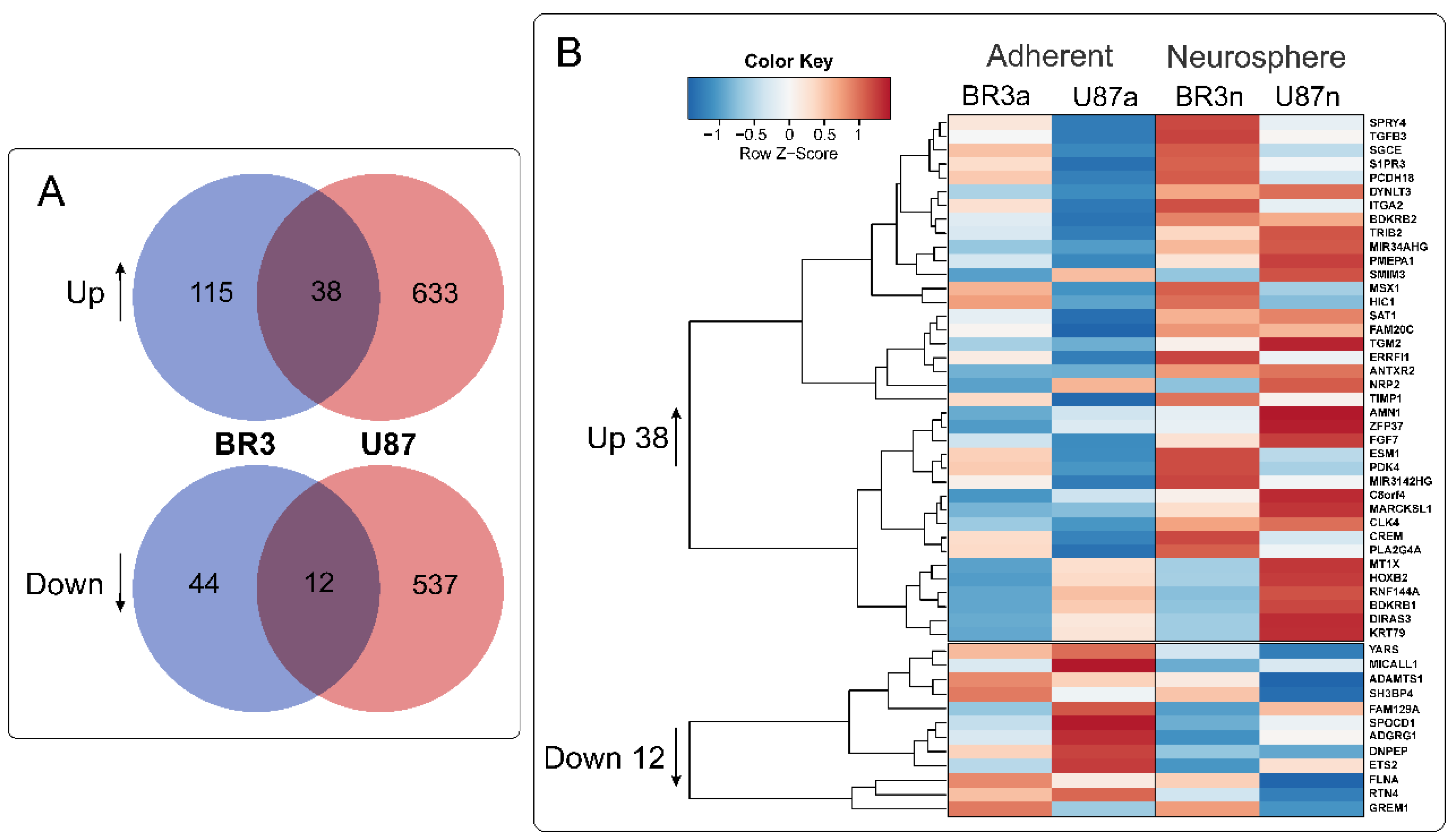 Cimb 44 00360 g004 Cimb 44 00360 g004