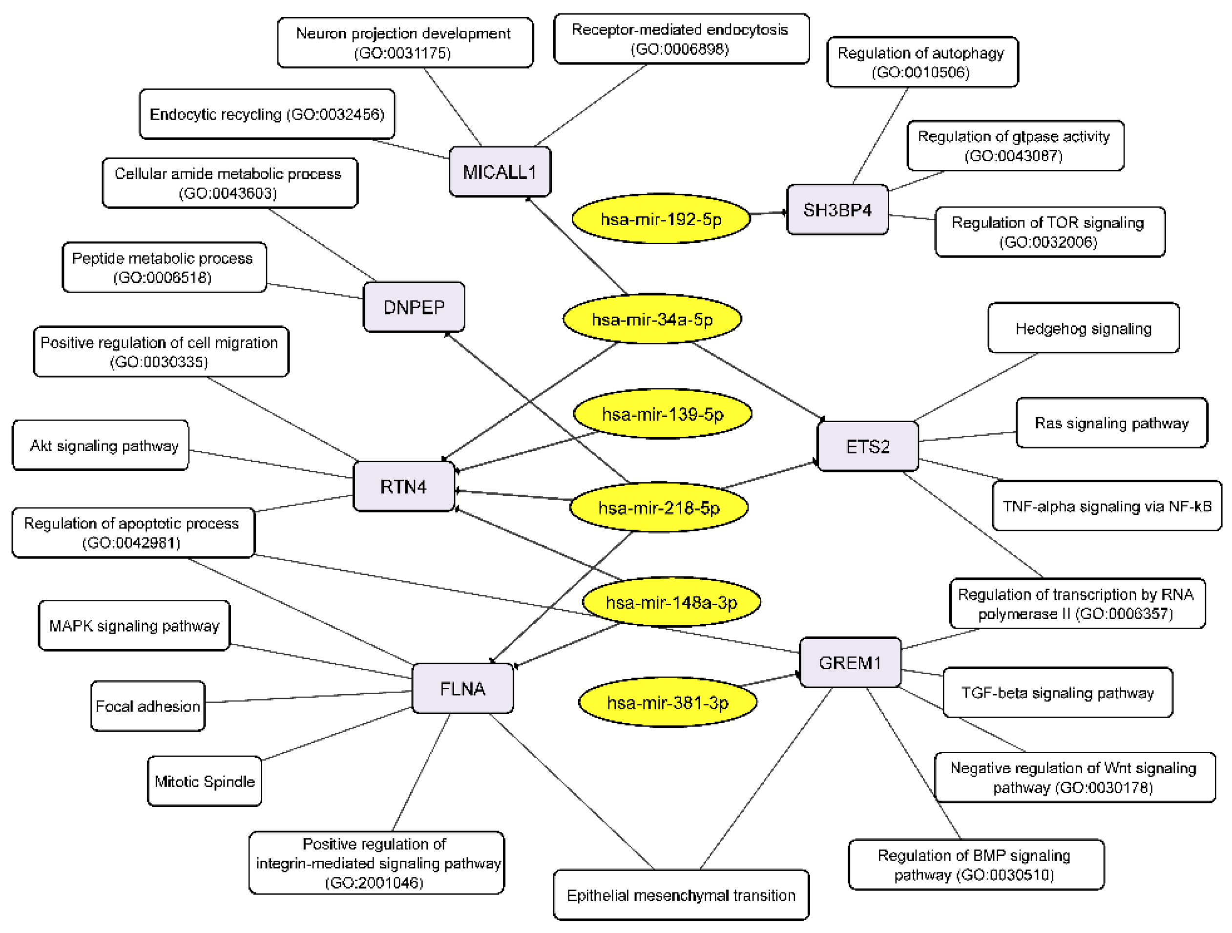 Cimb 44 00360 g007 Cimb 44 00360 g007