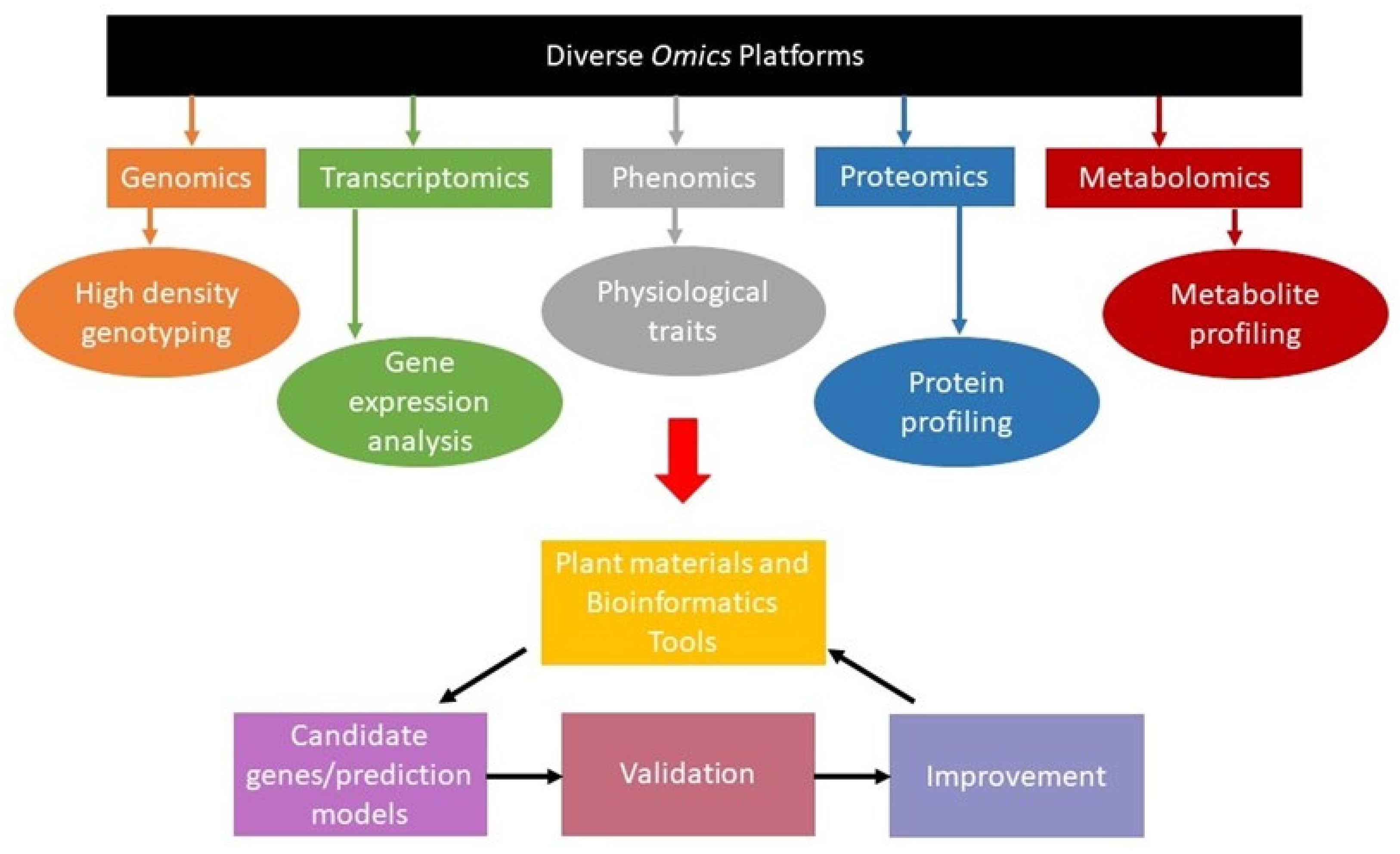 Cimb 44 00369 g002 Cimb 44 00369 g002