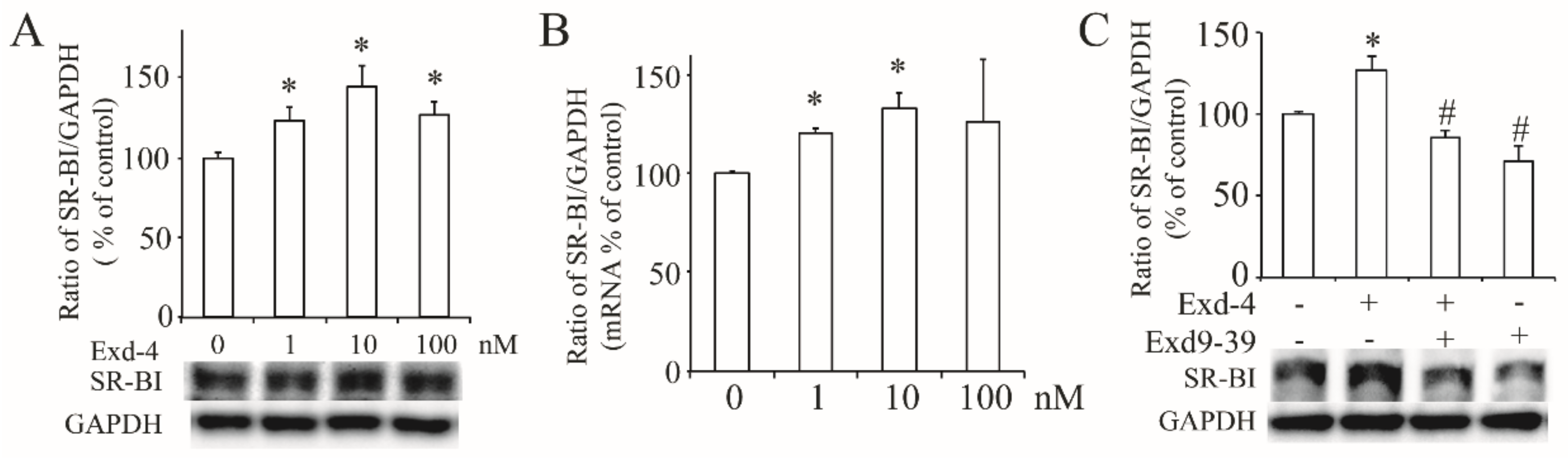 Cimb 44 00370 g002 Cimb 44 00370 g002